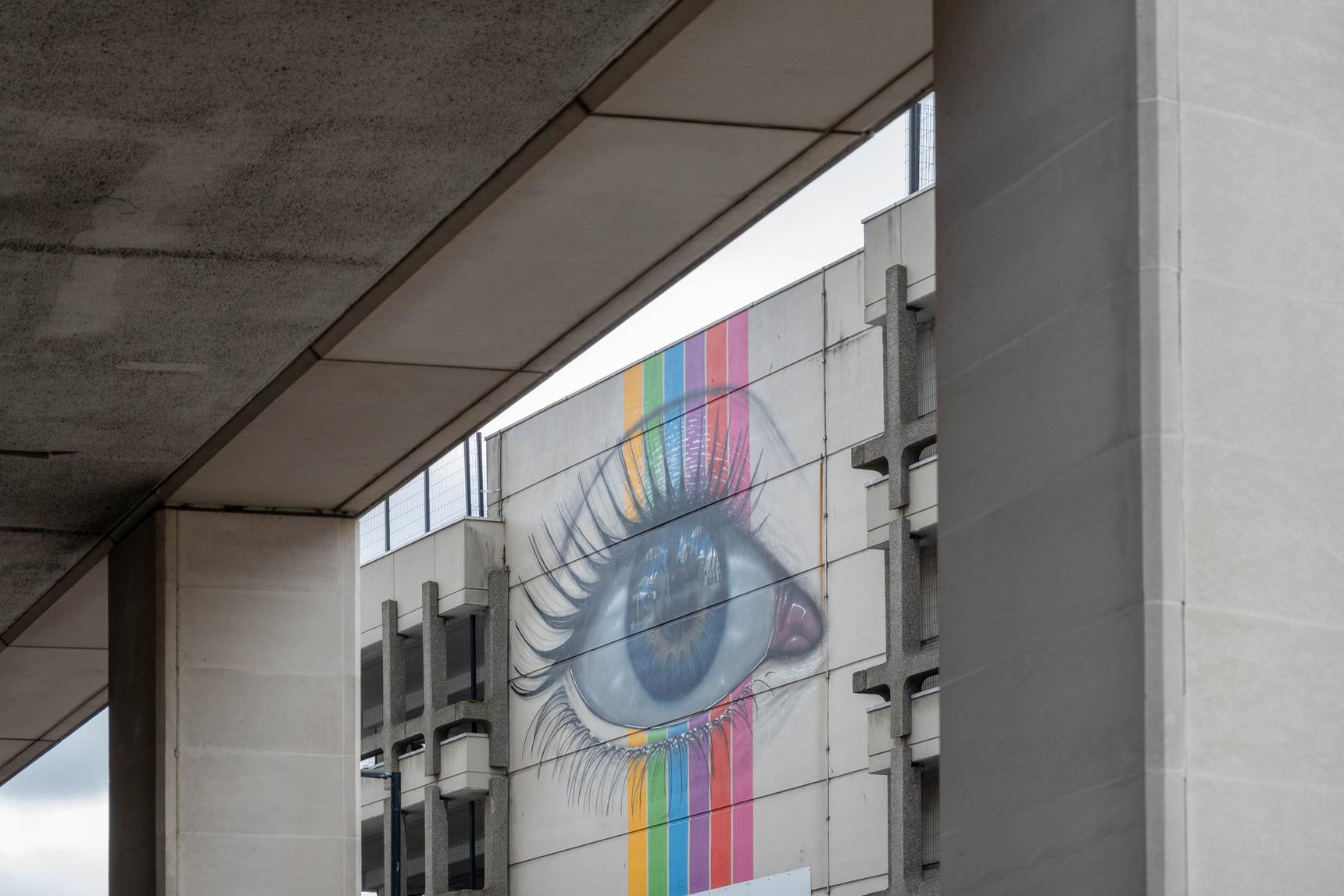 My Dog Sighs—Chelmsford Eye