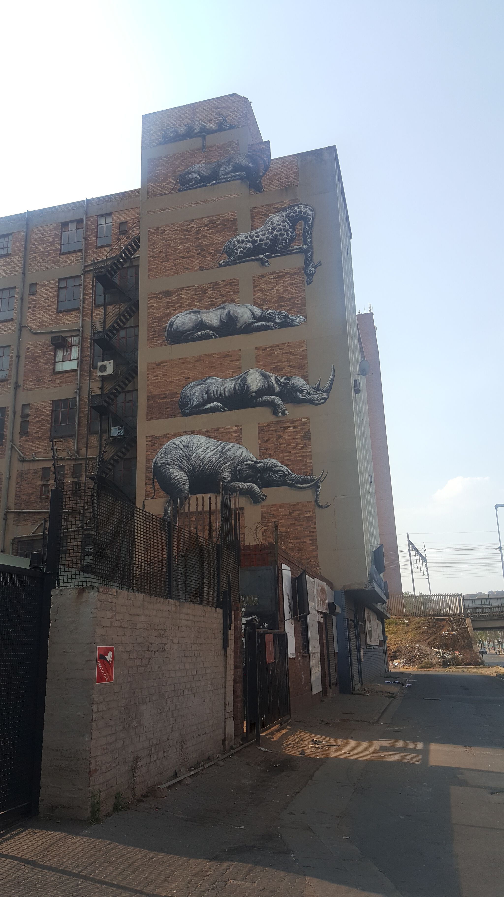 Roa&mdash;Animals (2012)