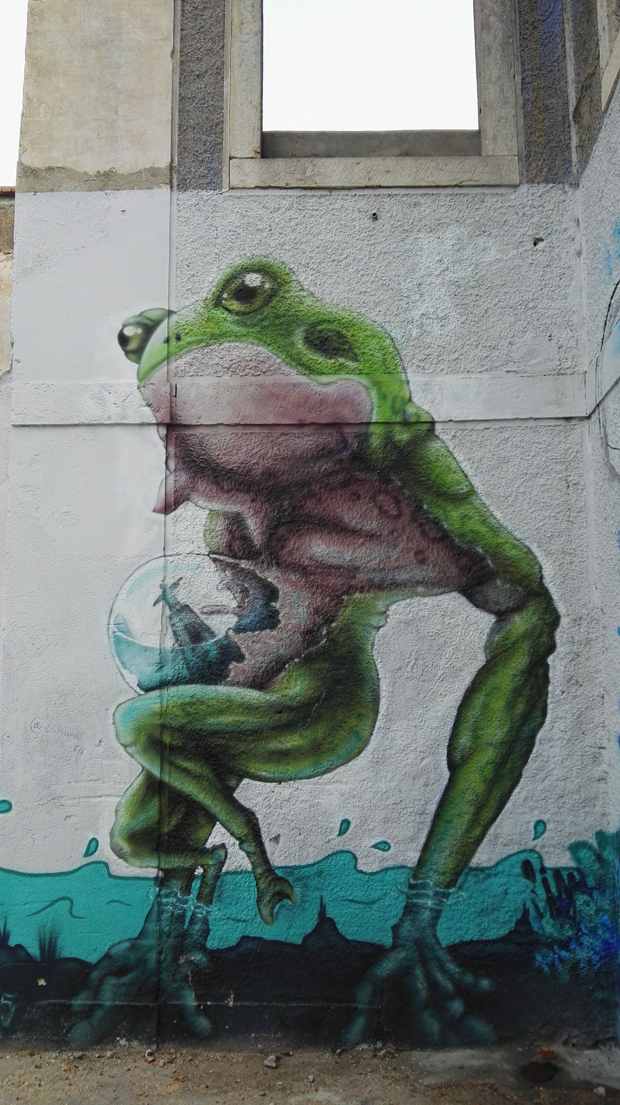 Unknown - Almada&mdash;mister frog