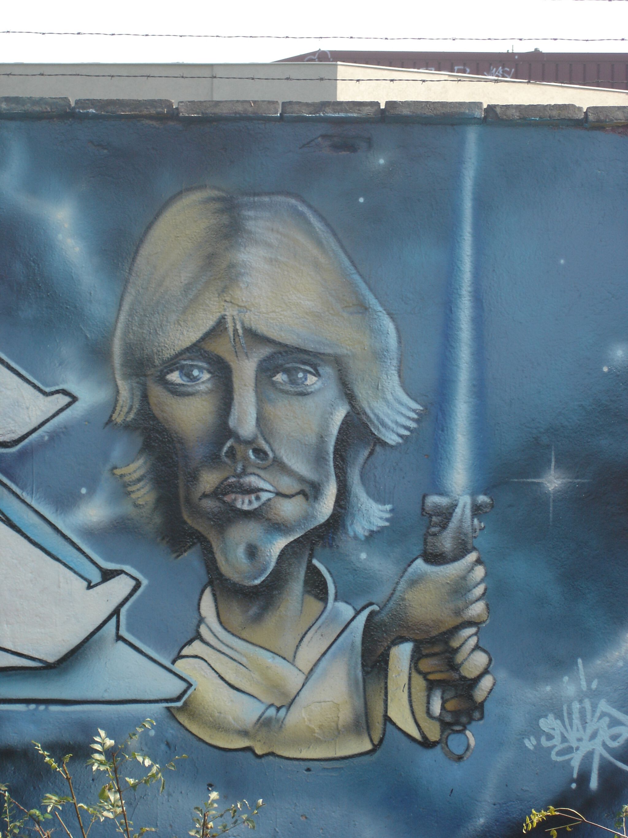 Unknown - Toulouse&mdash;Luke Skywalker (n'est plus visible)