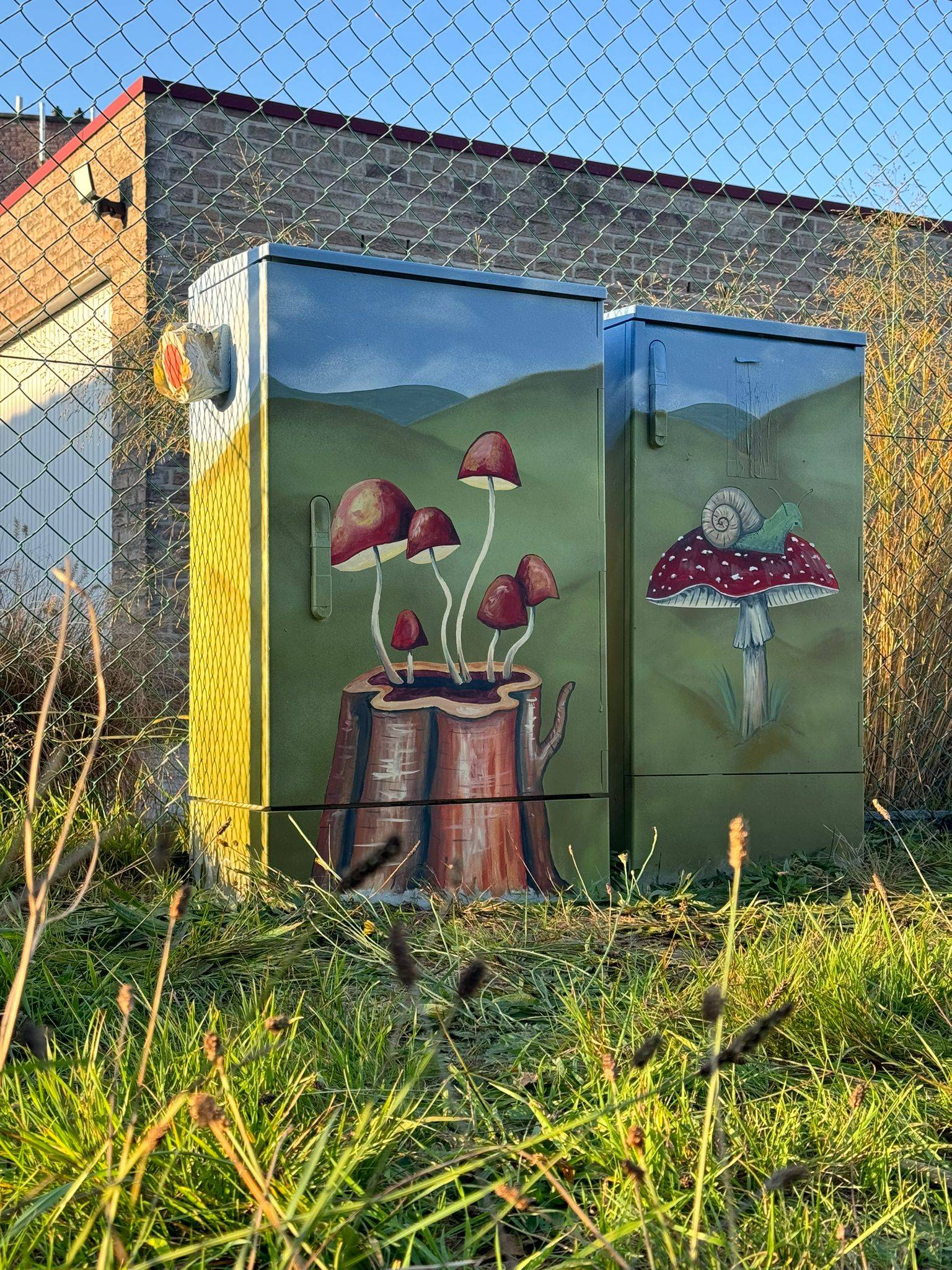 Olesia Panaseiko , Vera Verhoef&mdash;Tour Elentrik - Paddestoelen in de natuur