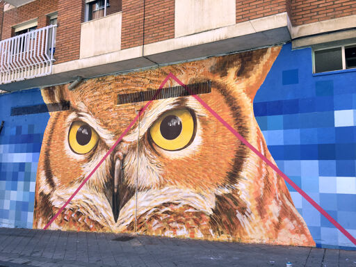 owl - salamanca