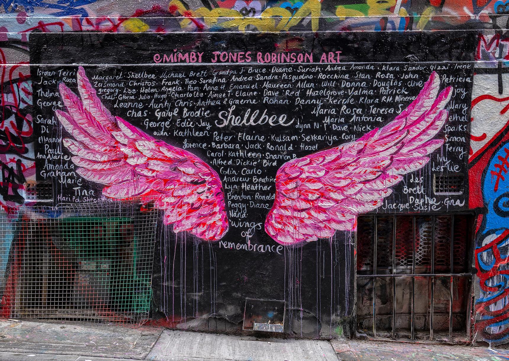 Mimby Jones Robinson—Wings of Remembrance