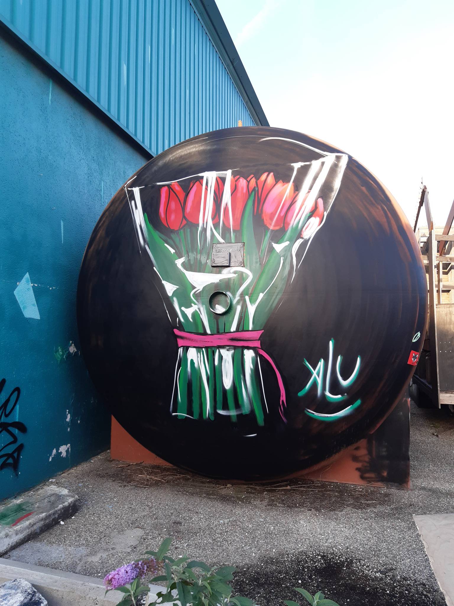 Various Artists, No Streetart, The Atomik Nation, Pierre Alu&mdash;Several artists in Darwin area