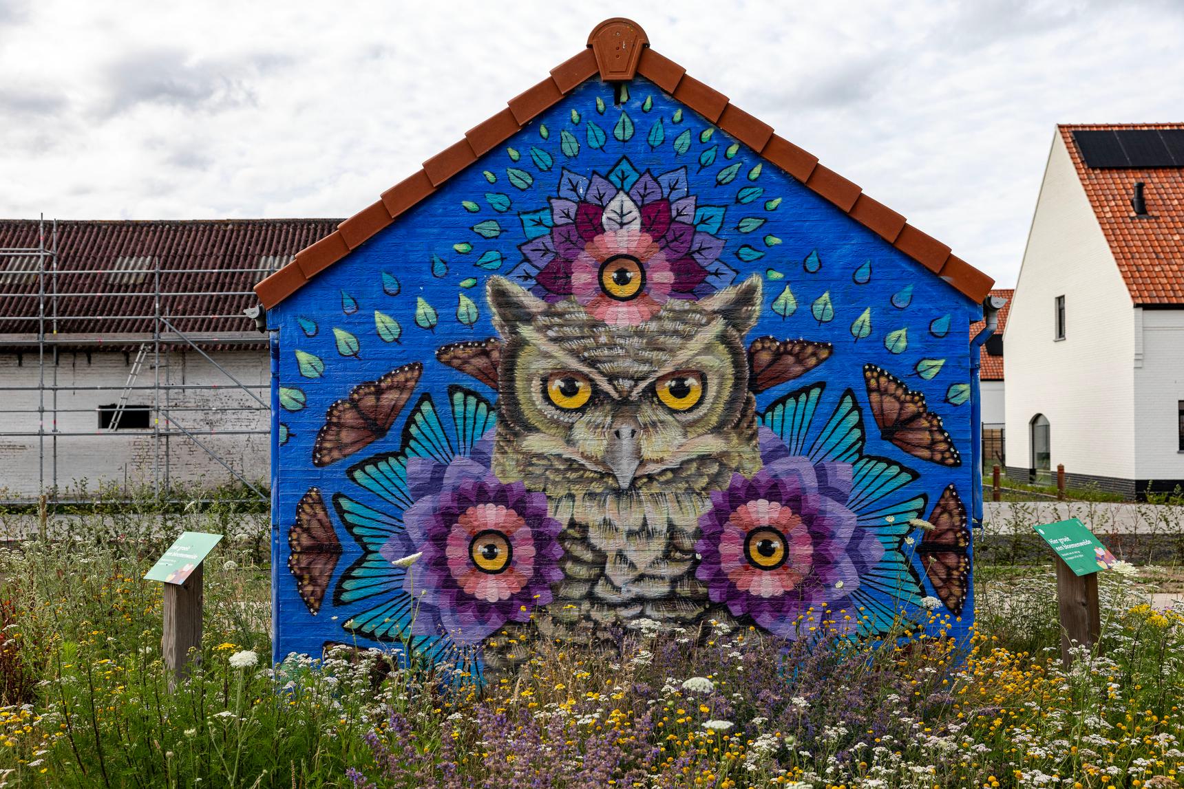 Xuas—Owls