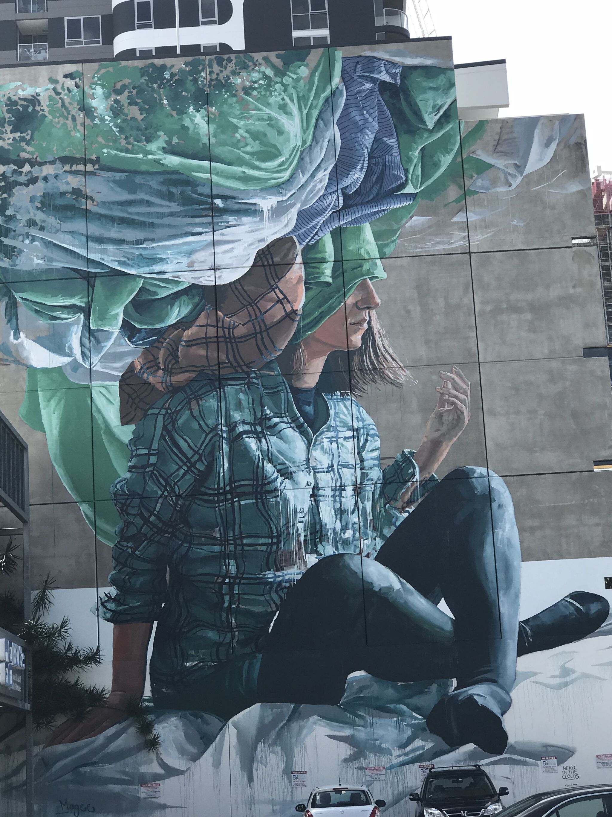 Fintan Magee, Fintan Magee&mdash;Head in the clouds 2