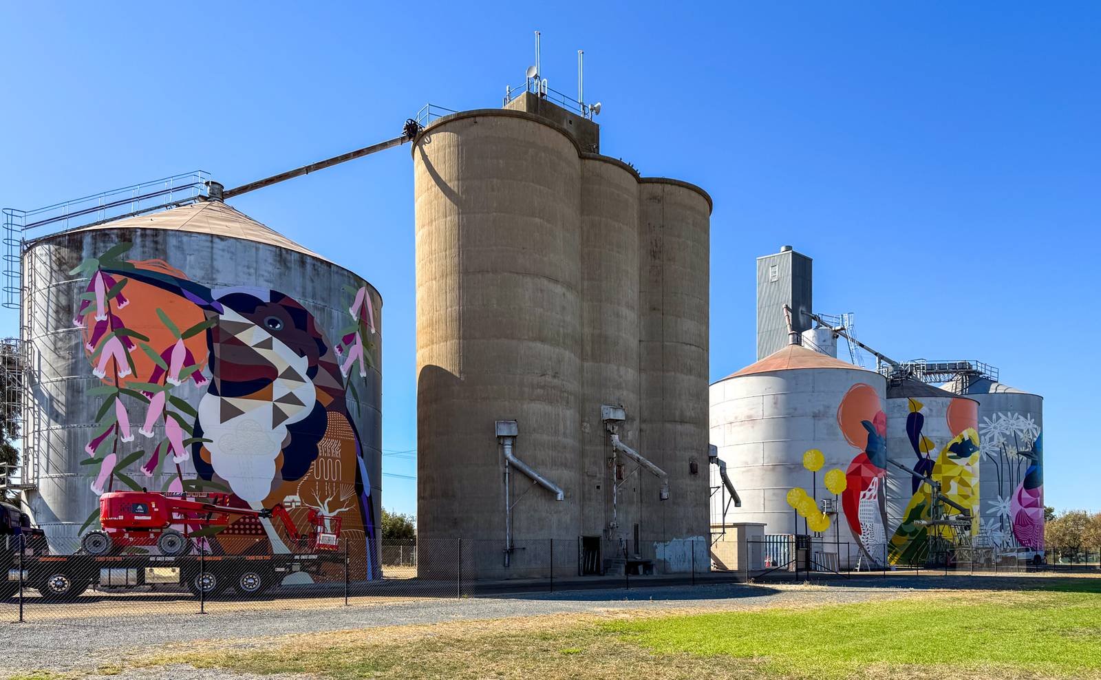 Ronan Holdsworth—Rutherglen Silos - Birds of Seasons