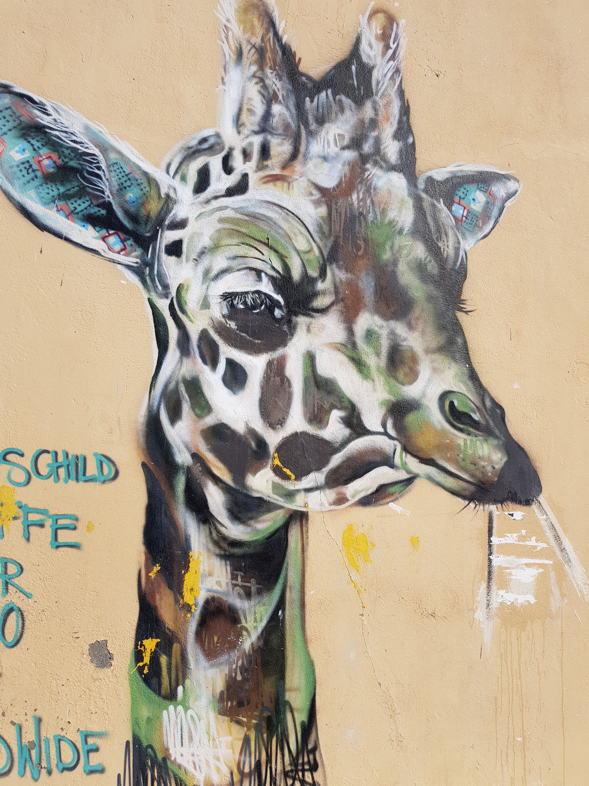 Unknown - Cape Town&mdash;The Woodstock Giraffe