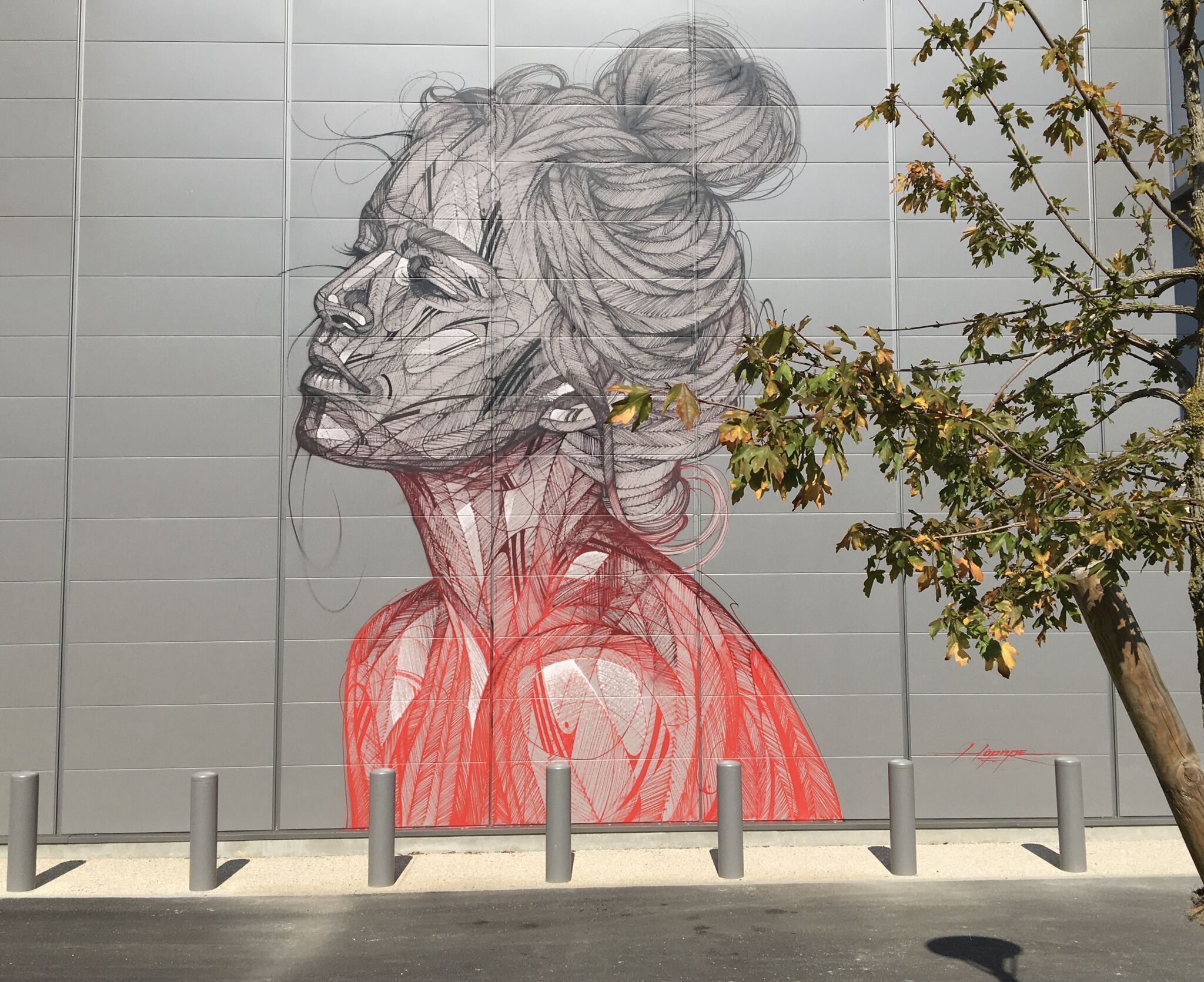 Hopare&mdash;The lady in red