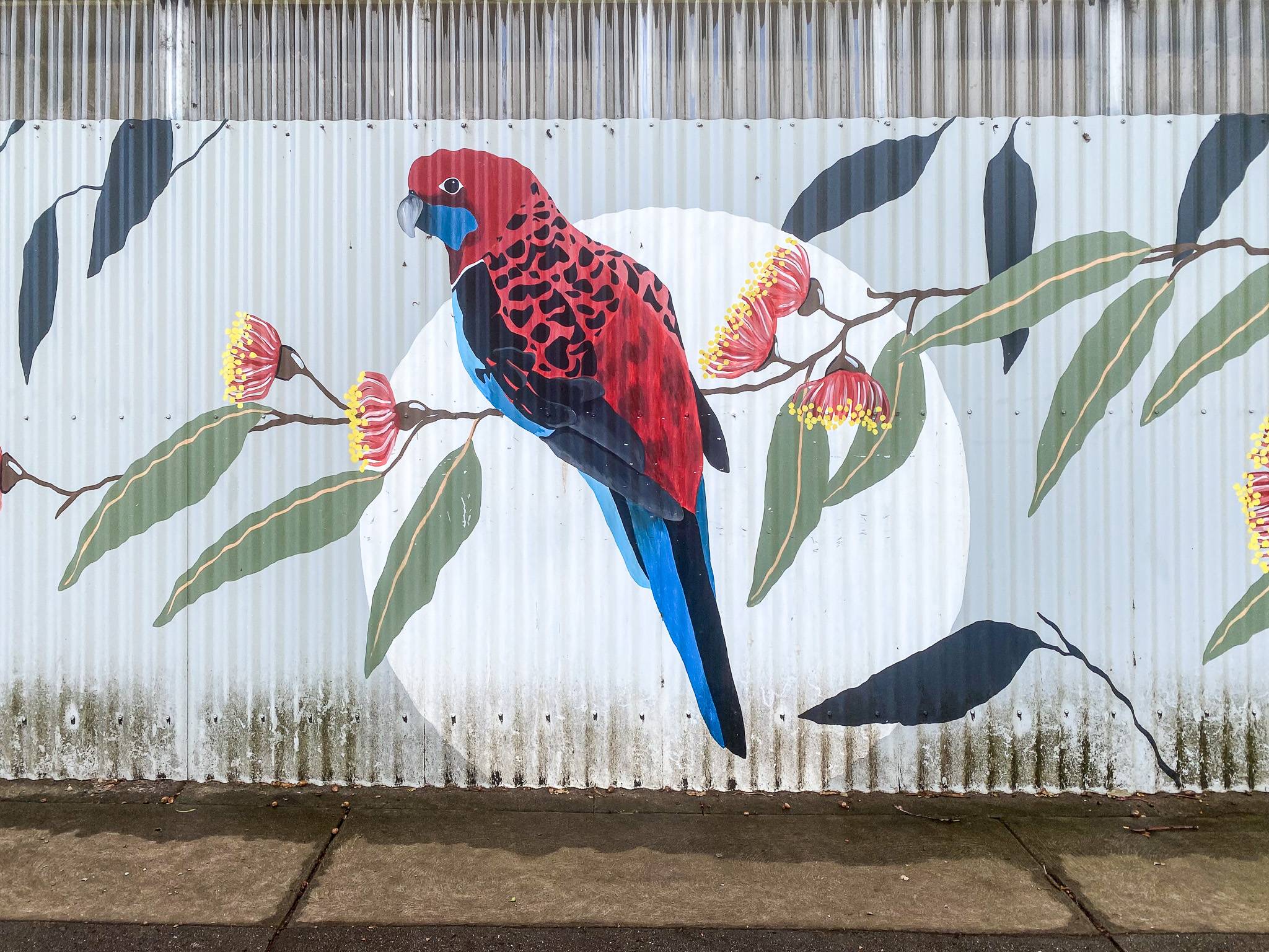 Melanie Caple&mdash;Leongatha Primary School Mural