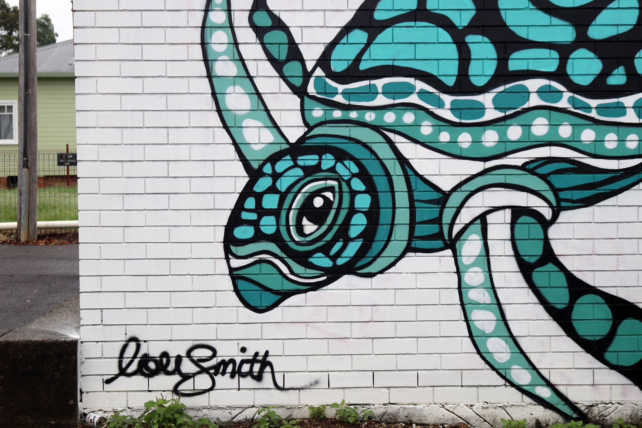 Lou Smith&mdash;Turtle