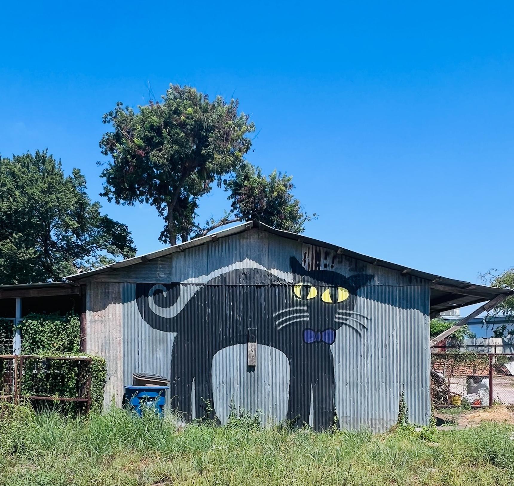 Unknown - Austin—undefined