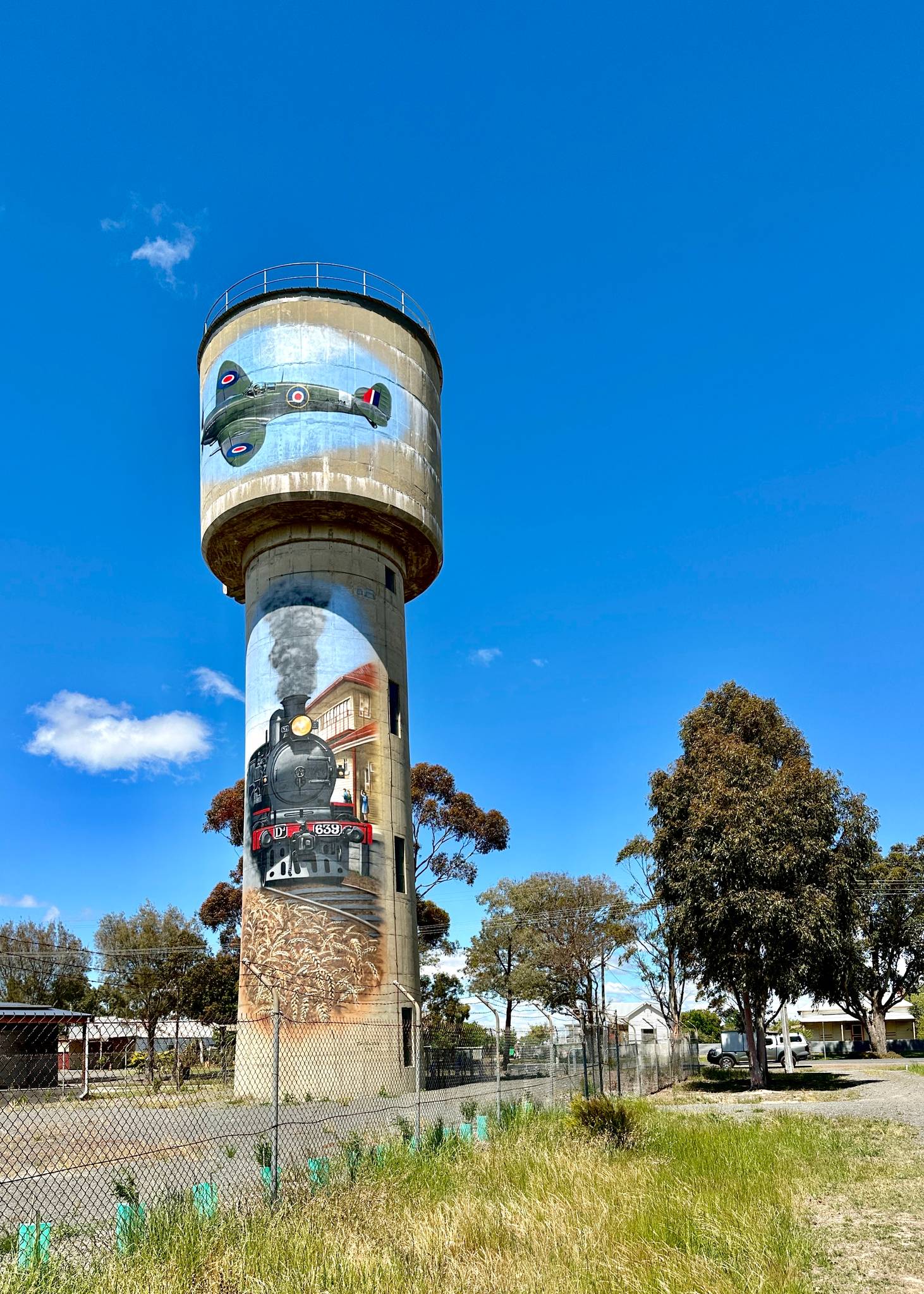 Tim Bowtell&mdash;Cressy Water Tower