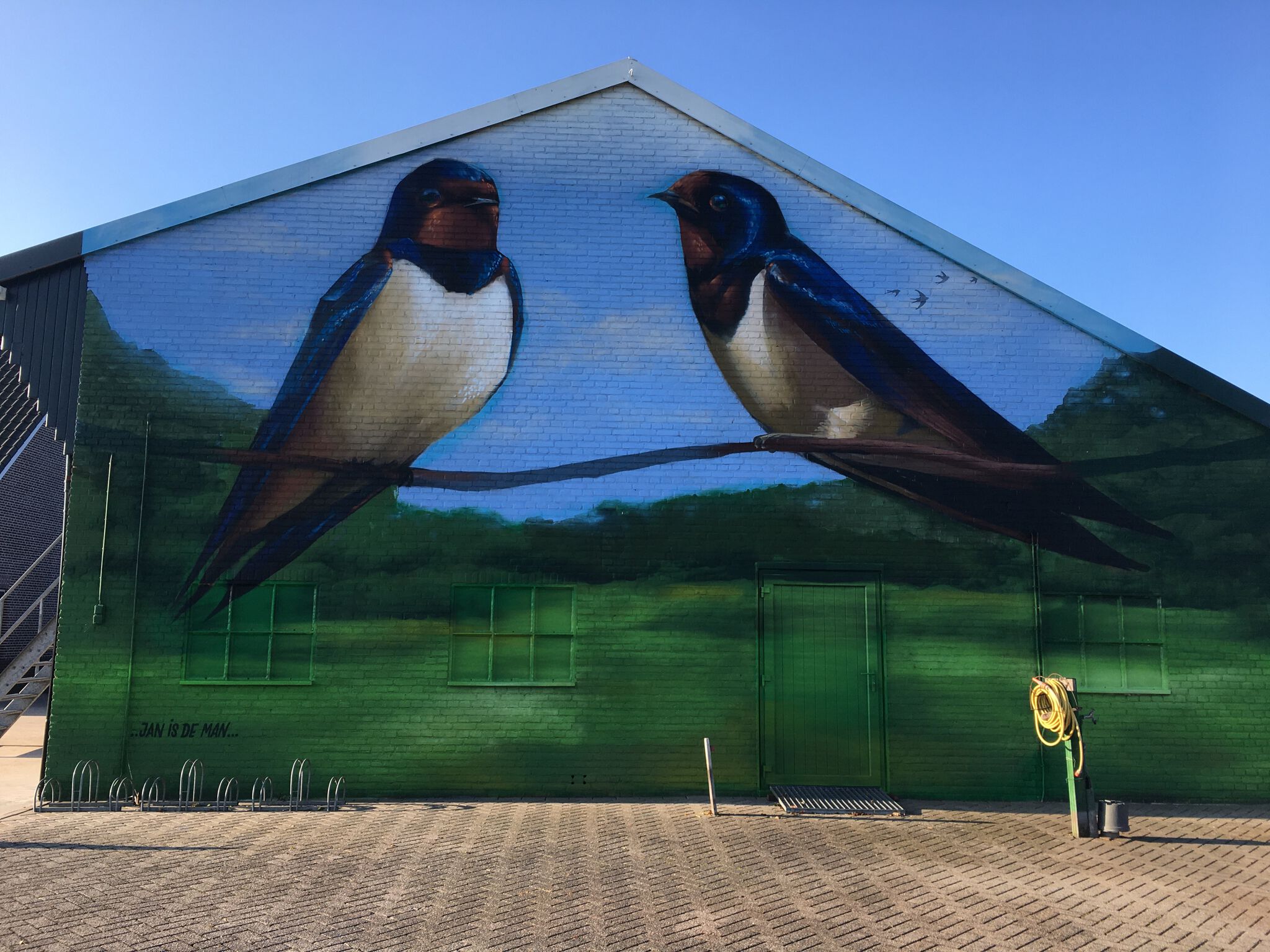 Janisdeman&mdash;Two Swallows (zwaluwen)