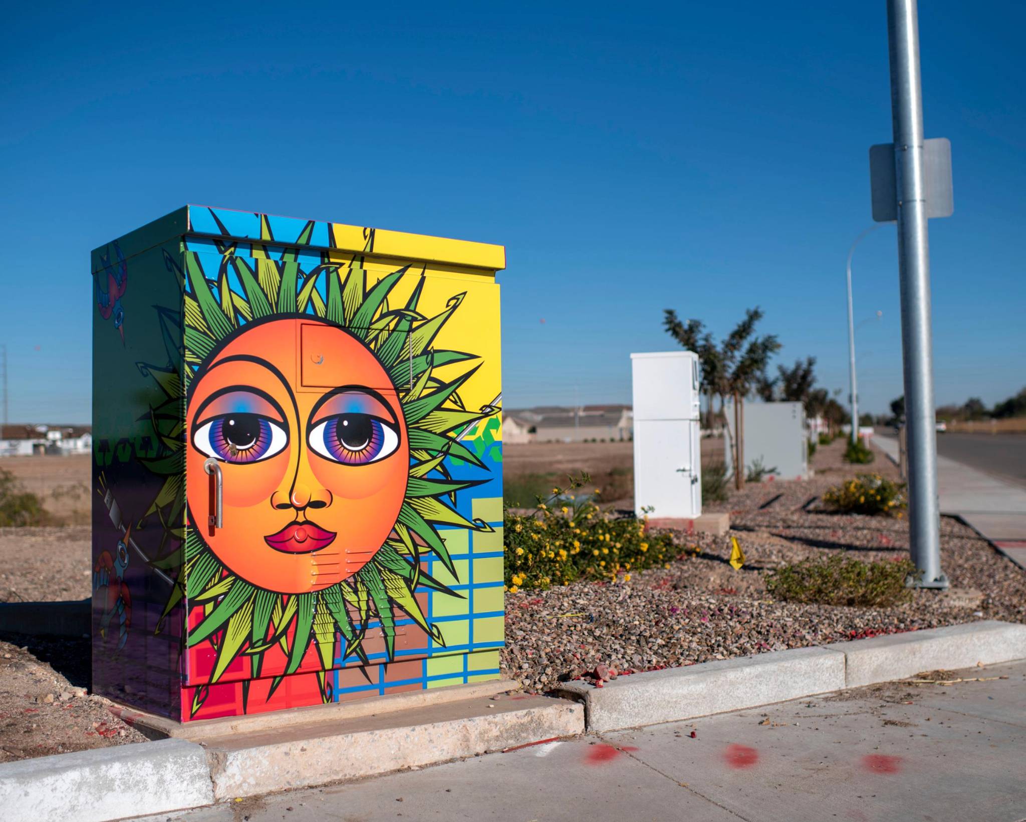 Sara Altieri &mdash;Traffic Control Box