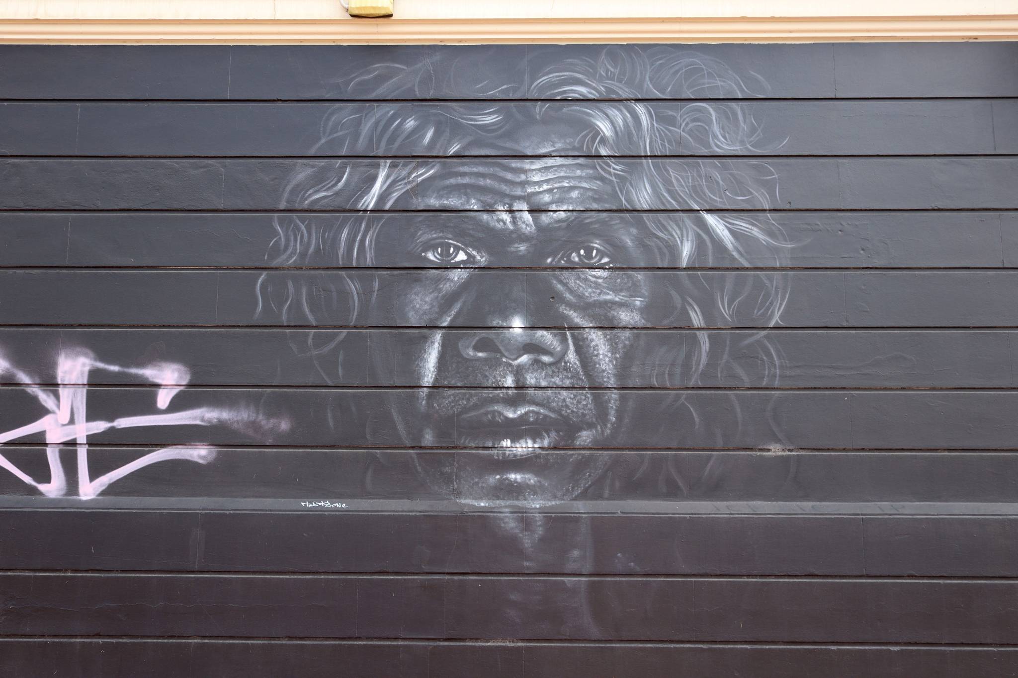 TR Visual Arts, Laura Paige&mdash;David Gulpilil