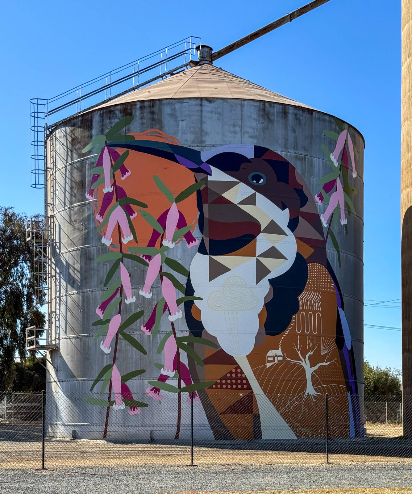 Ronan Holdsworth—Rutherglen Silos - Birds of Seasons