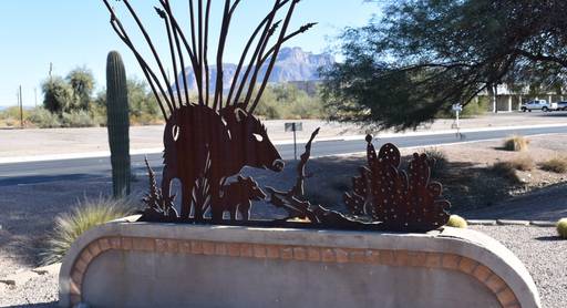 Javelina Metal Art