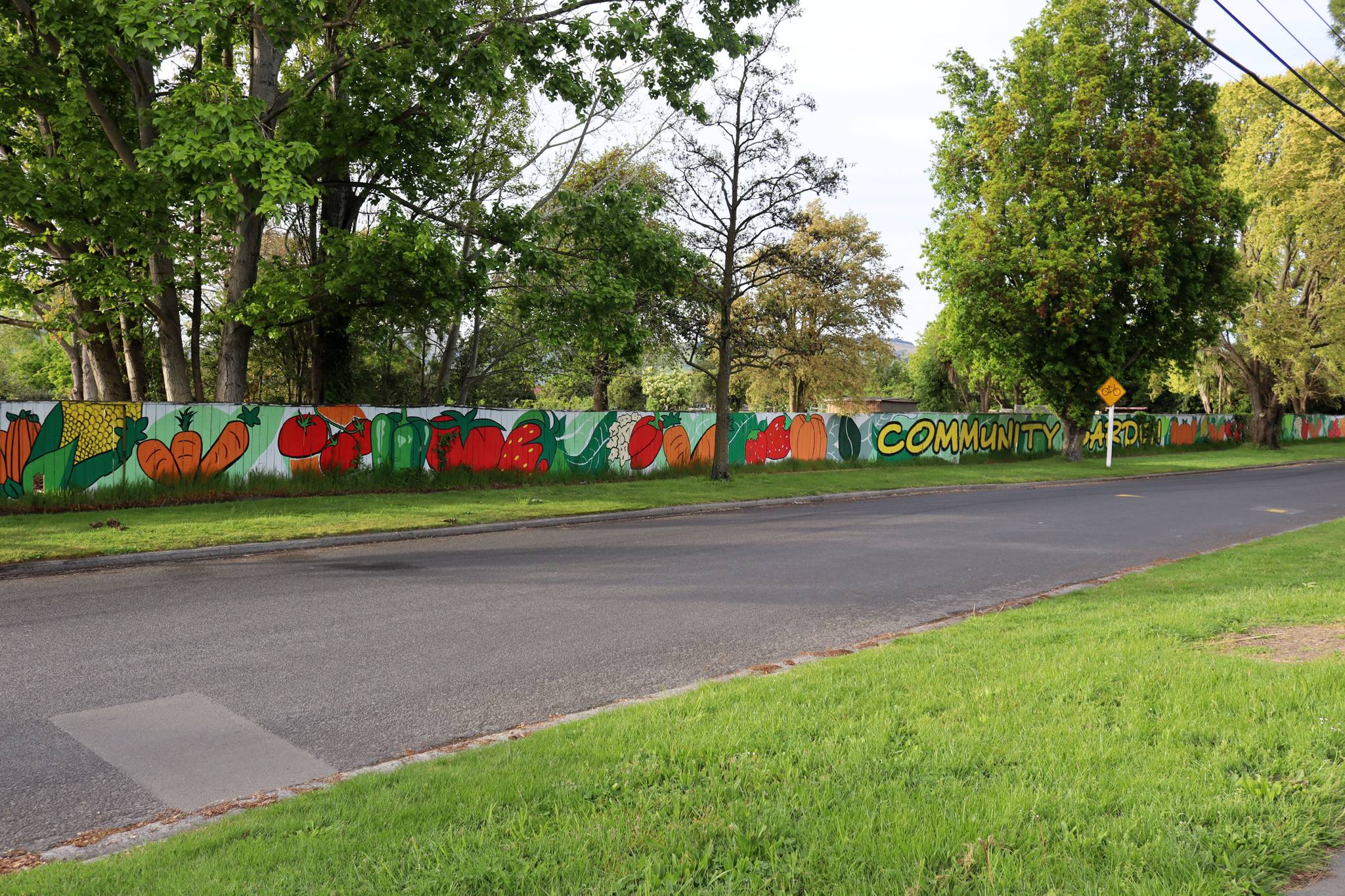 GirlGuiding New Zealand&mdash;Community Garden