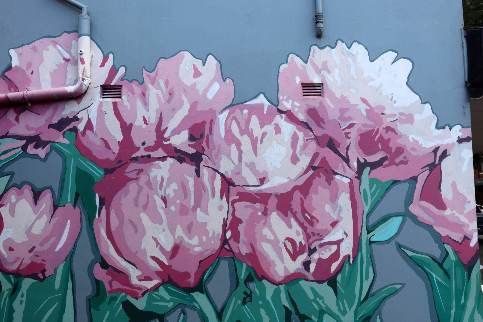 Jamie Preisz, Matt Preisz&mdash;Peony Wall