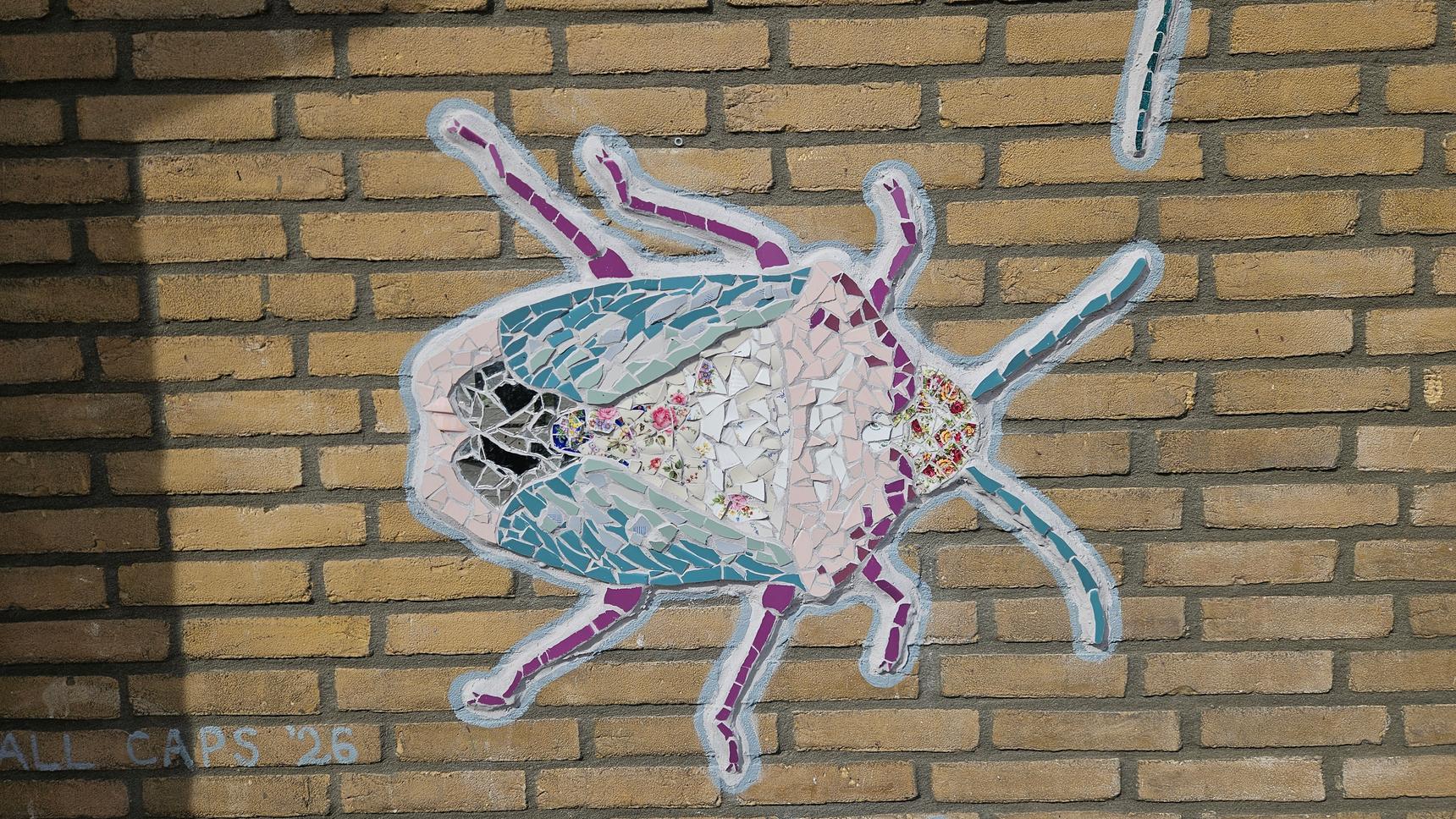 Salme Ique—Insects from the Lombagarden