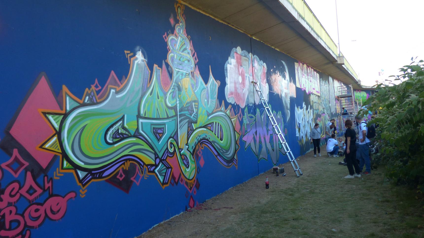 —Graffiti Gallery - Toulouser Allee Trainline