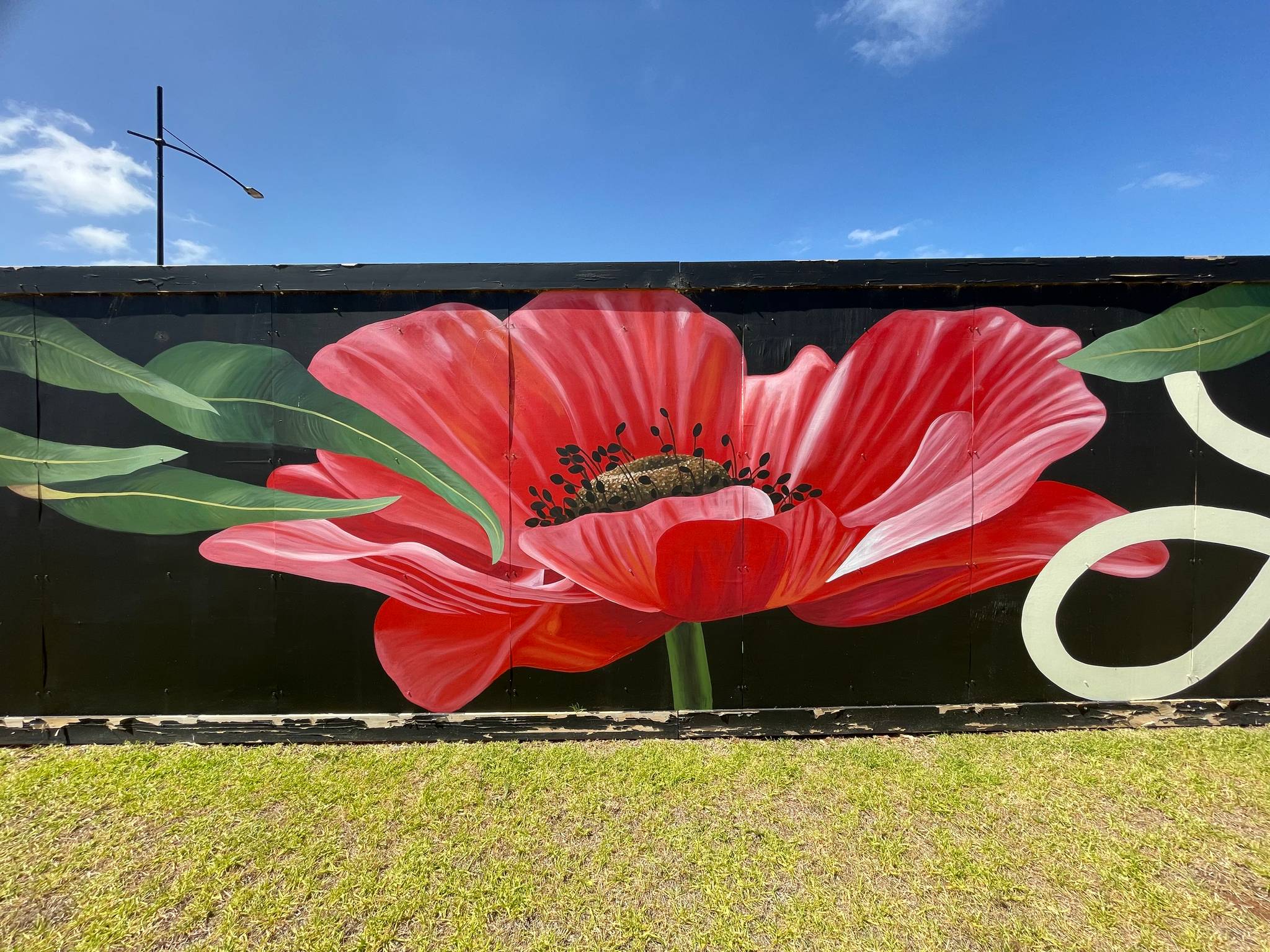 Amanda Newman&mdash;Woodlea Remembrance Day Mural 