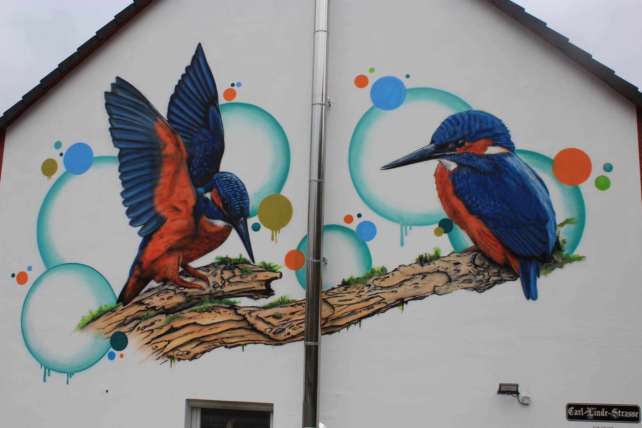 C-Airbrush&mdash;The kingfishers love 