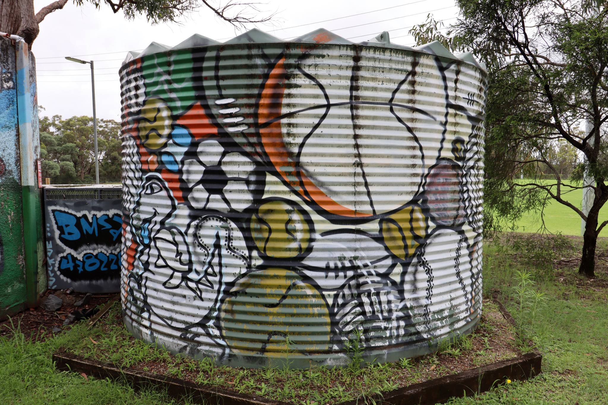 Blue Mountains Street Art Collaborative&mdash;Lapstone Oval