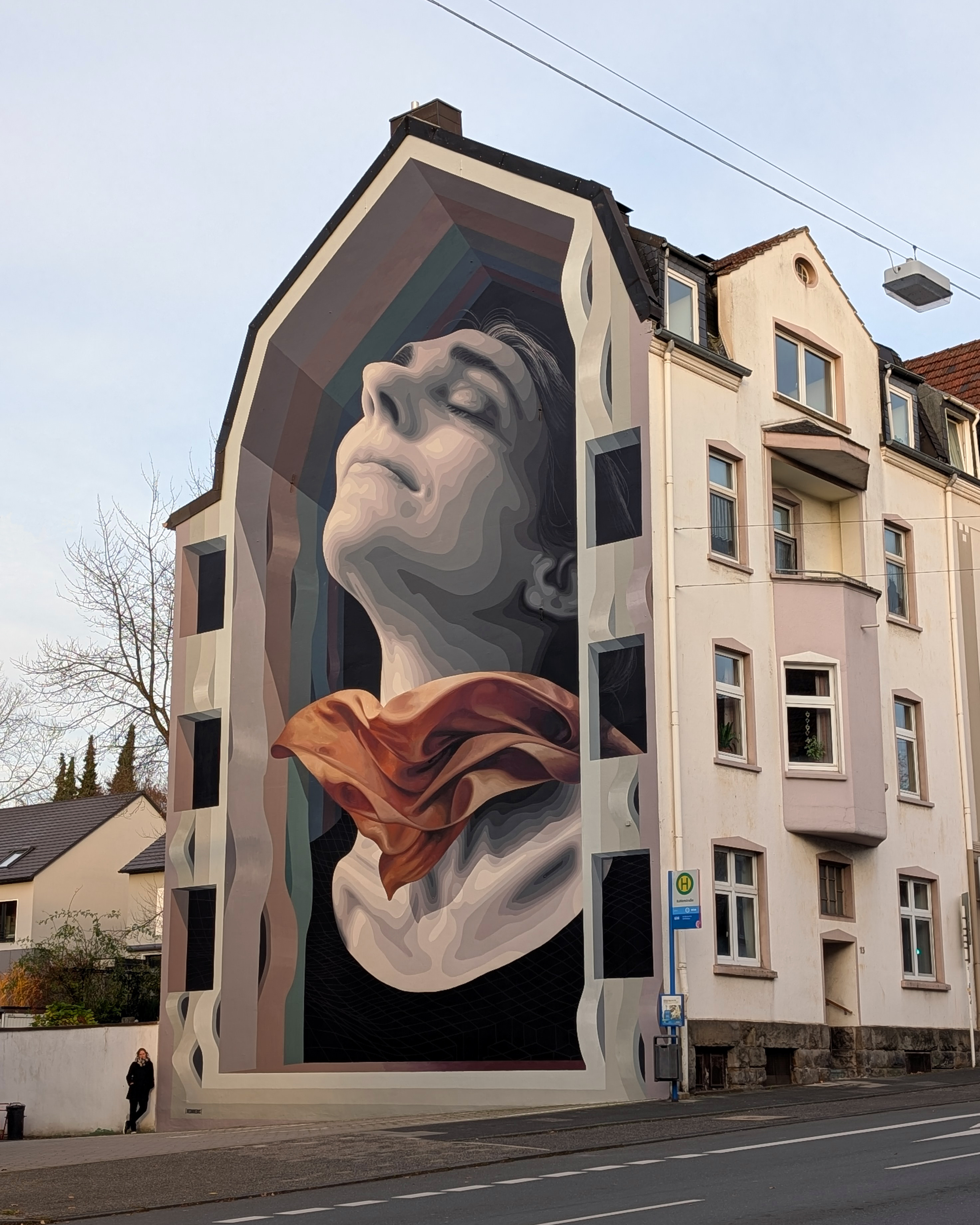 PINA BAUSCH by Medianeras - Street Art Cities