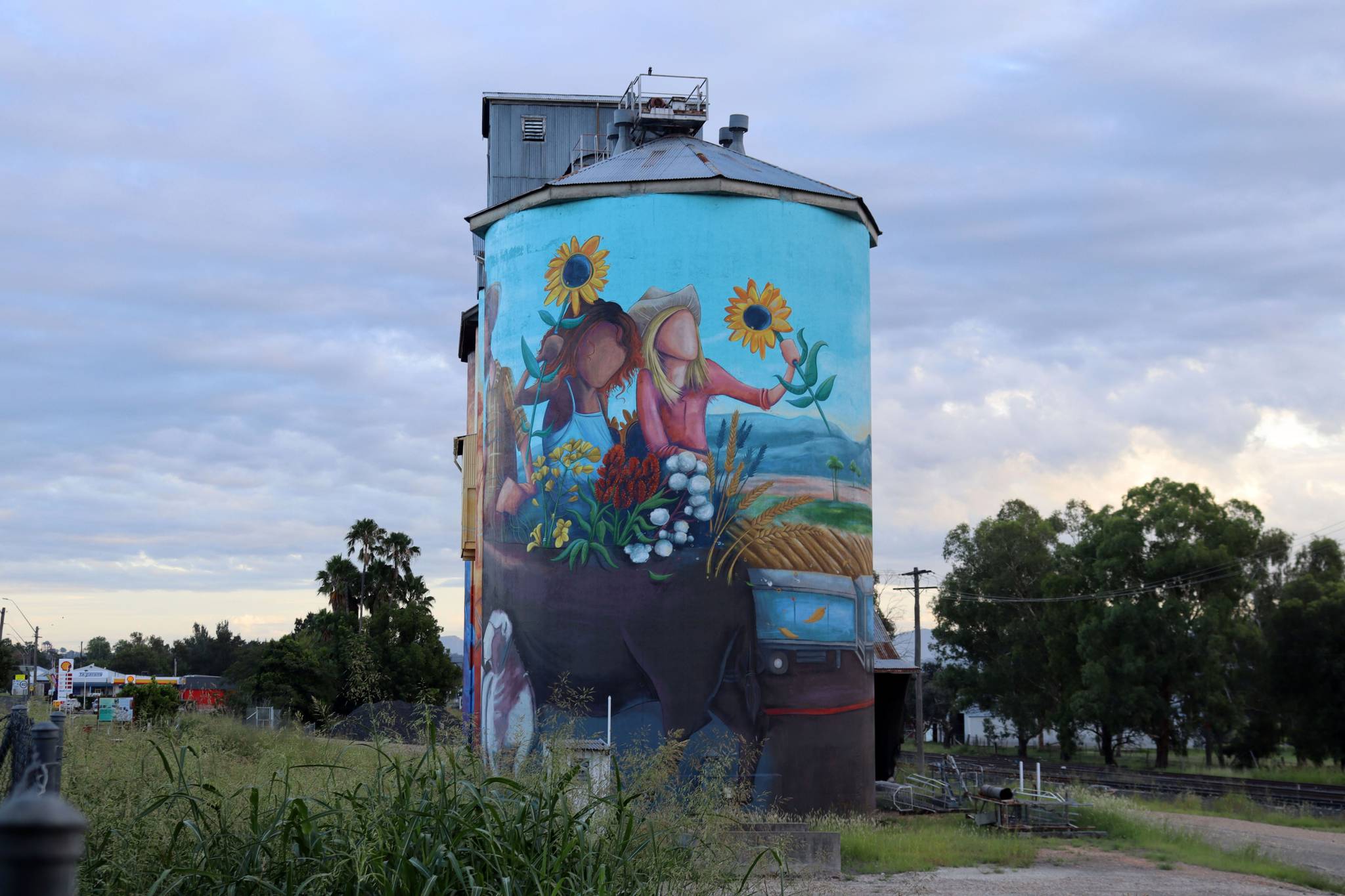 Peter Ryan&mdash;Quirindi Silo Art