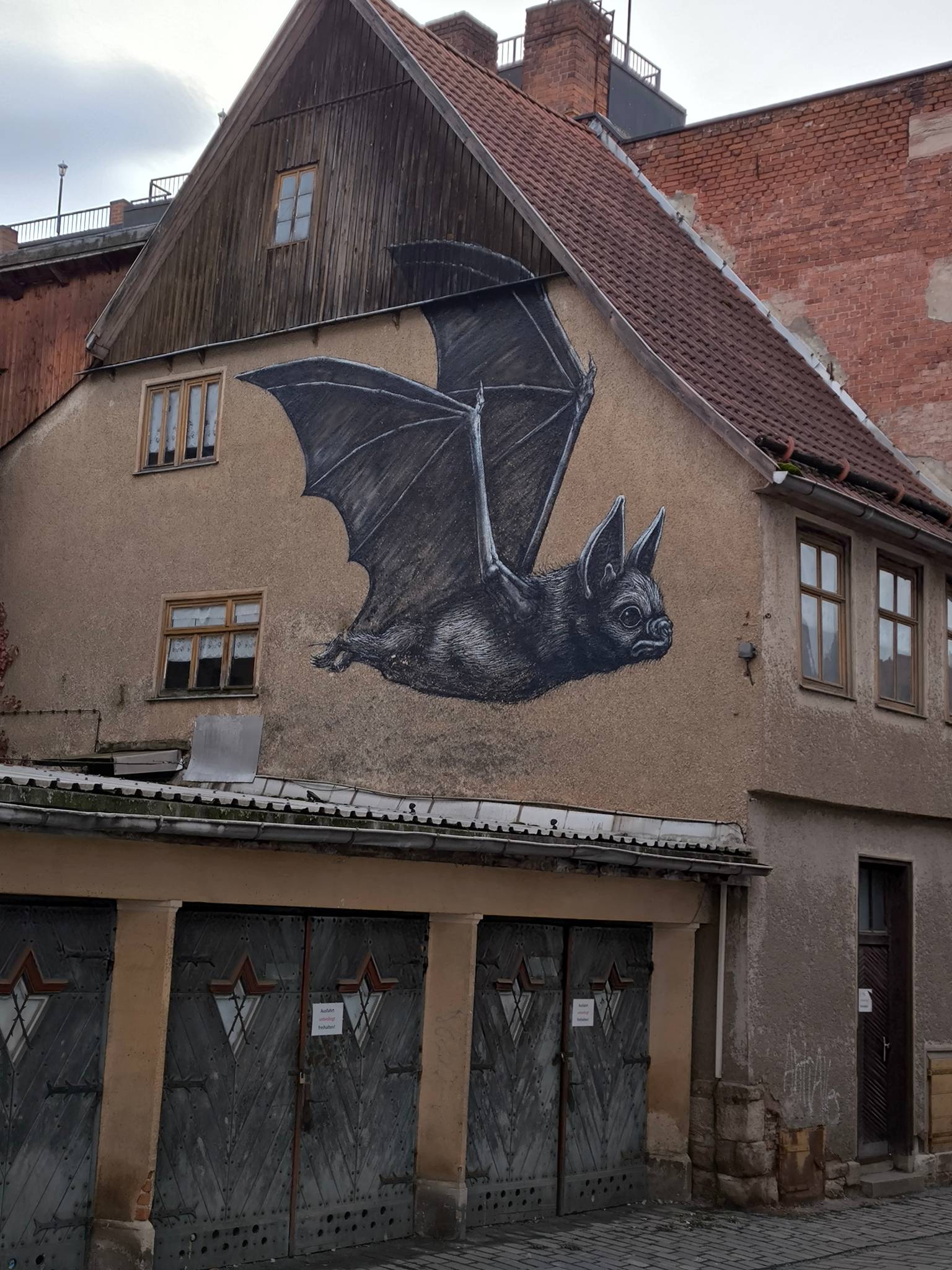 ROA&mdash;The Bat