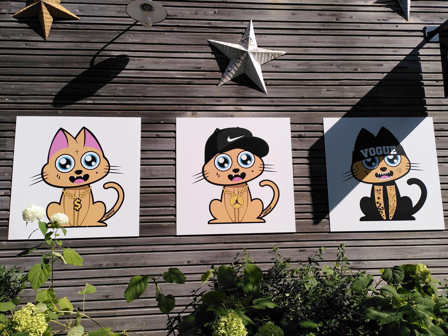 supacat—Supa Air Jordan Cat