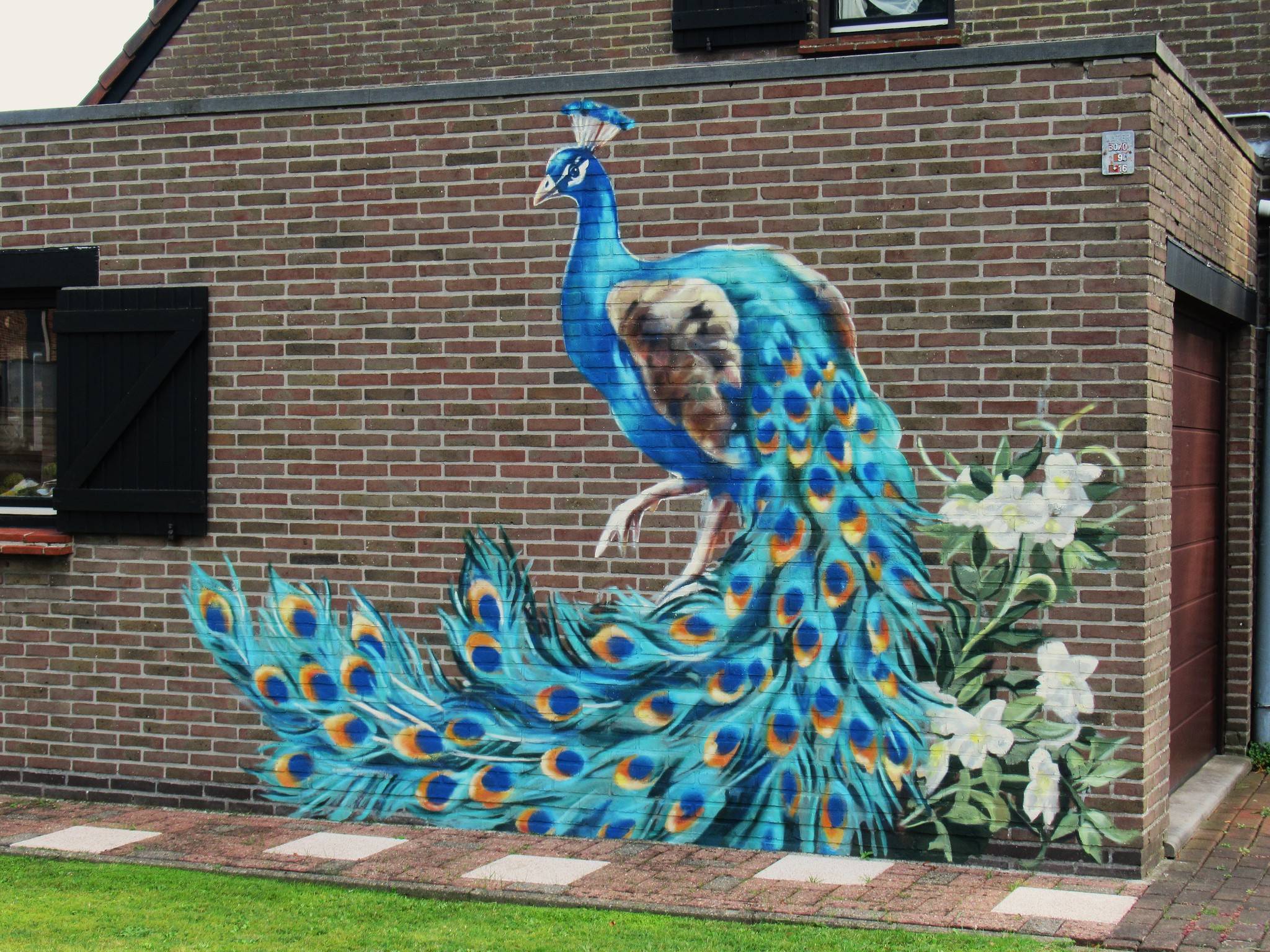 Unknown - Ghent&mdash;Peacock