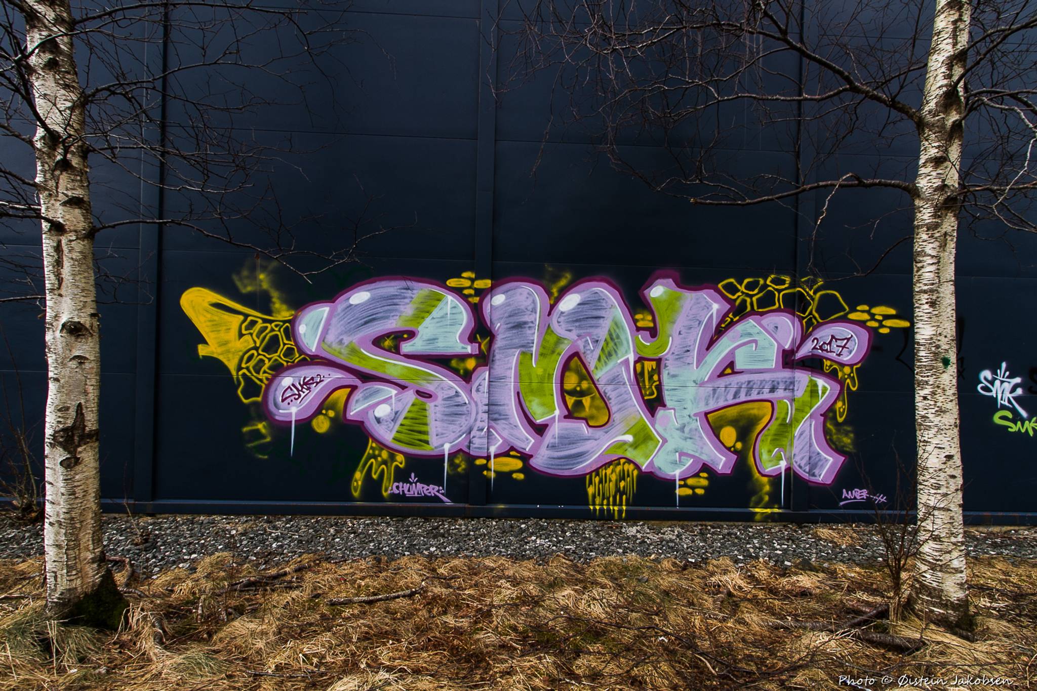 SMK&mdash;SMK