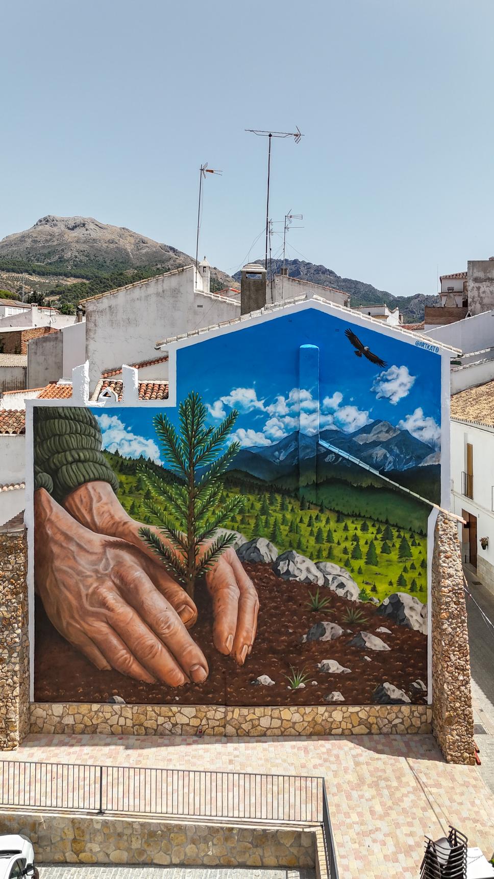 Kato—Un pinsapo para mañana