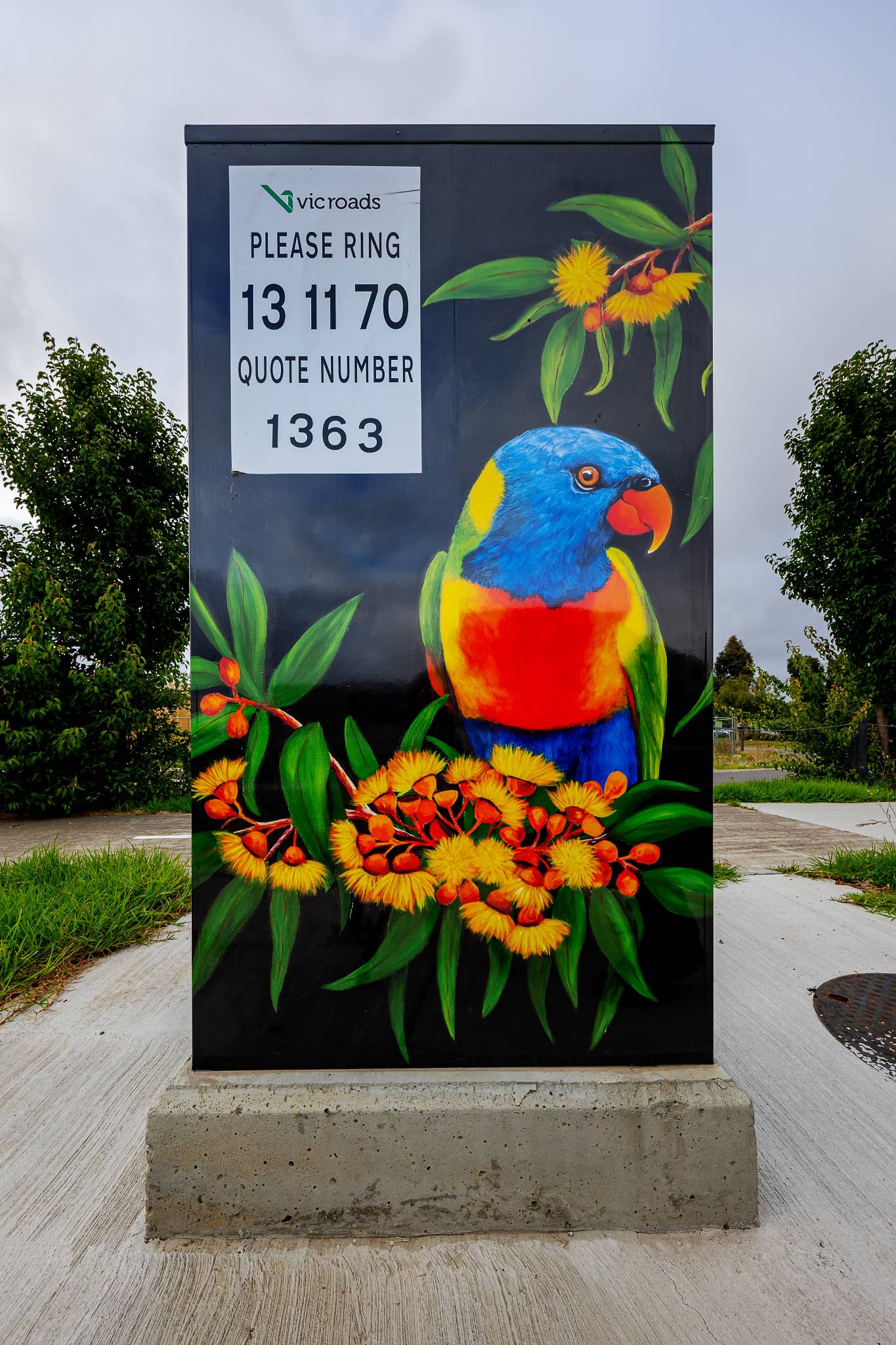 Yvonne Bradford&mdash;Colourful Lorikeets