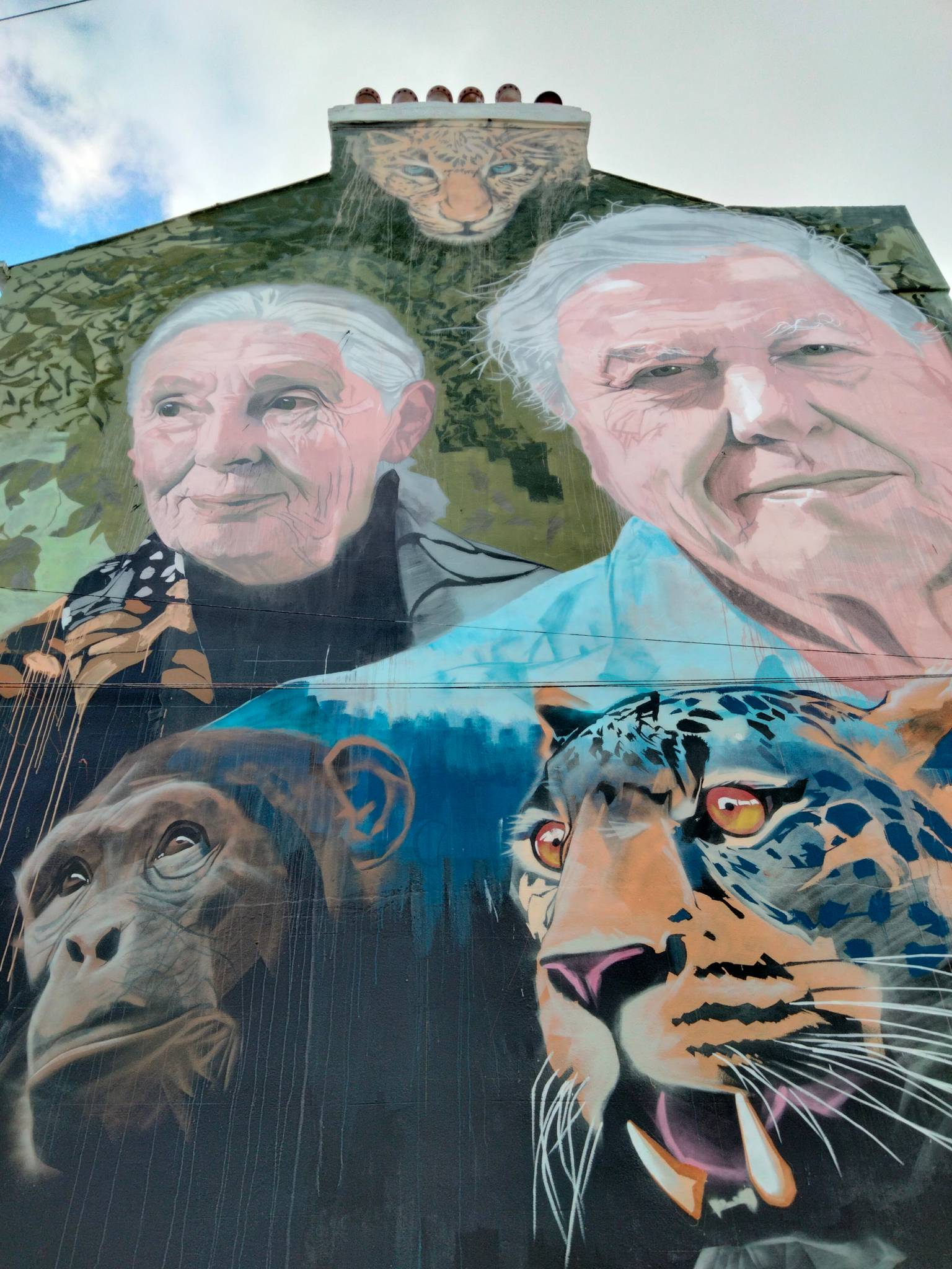 Joe Greenaway&mdash;David Attenborough/ Jane Goodall