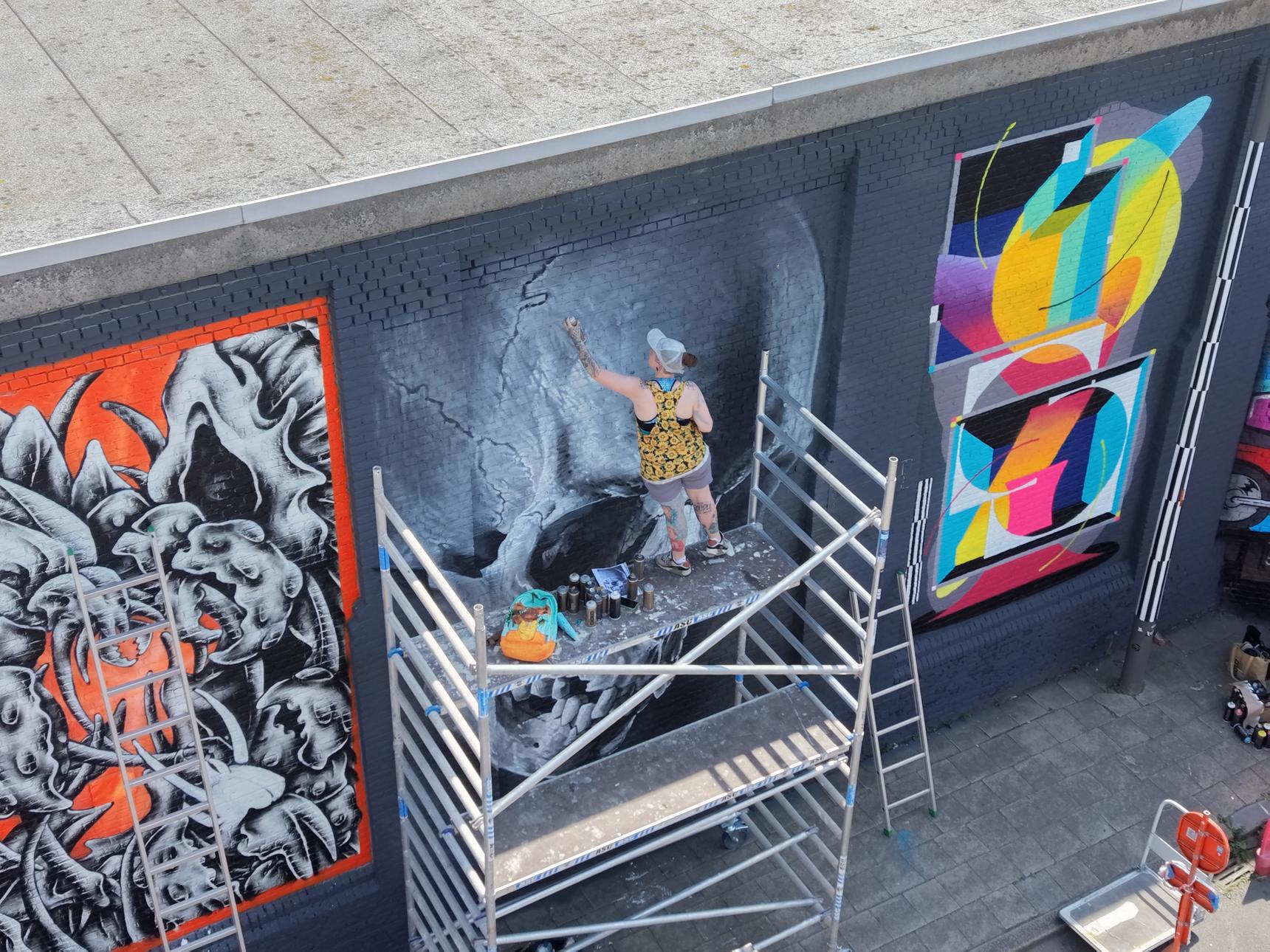Djoels—MoS Belgium 26