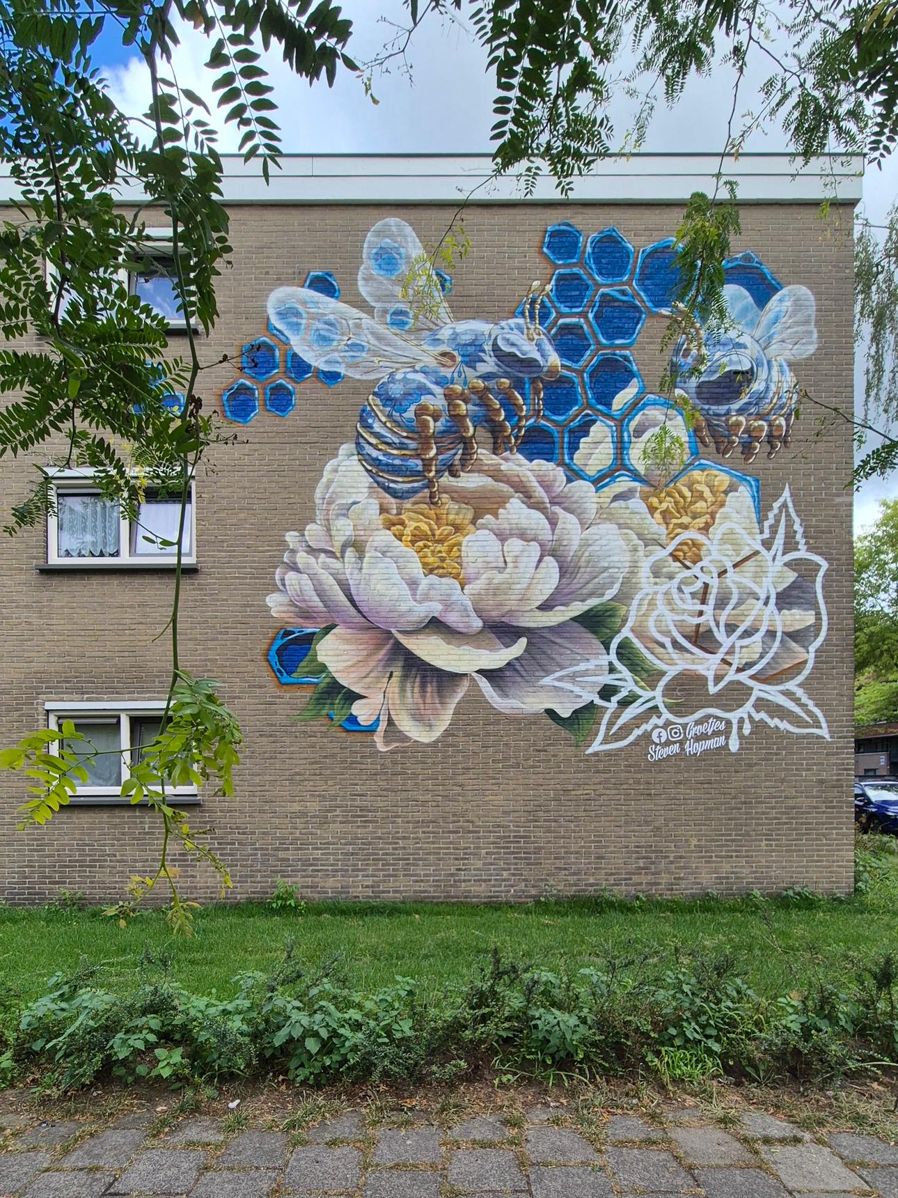 Steven Hopman—De bloemetjes en de bijtjes / The flowers and the bees