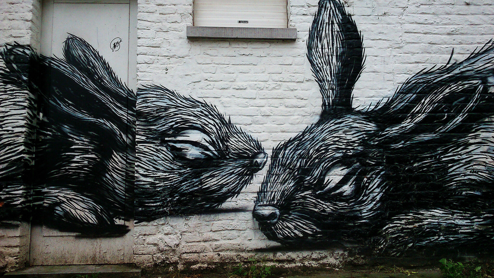 Roa&mdash;The Rabbits