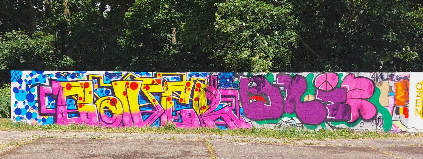 —Legal Wall de Cointe
