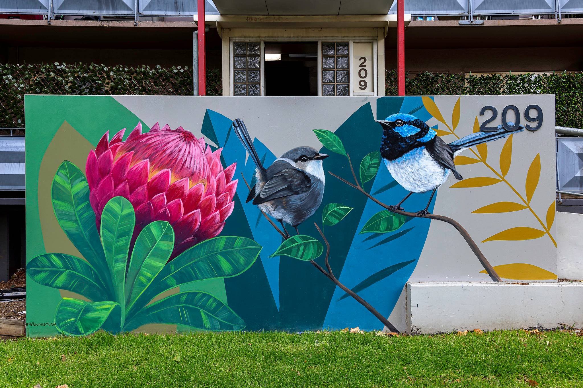 Melbourne's Murals&mdash;Superb Fairywren