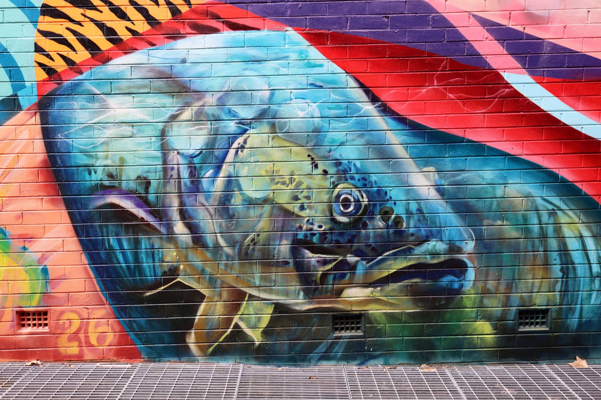 The Brightsiders, The Zookeeper, Drapl&mdash;Cowra Laneway Mural