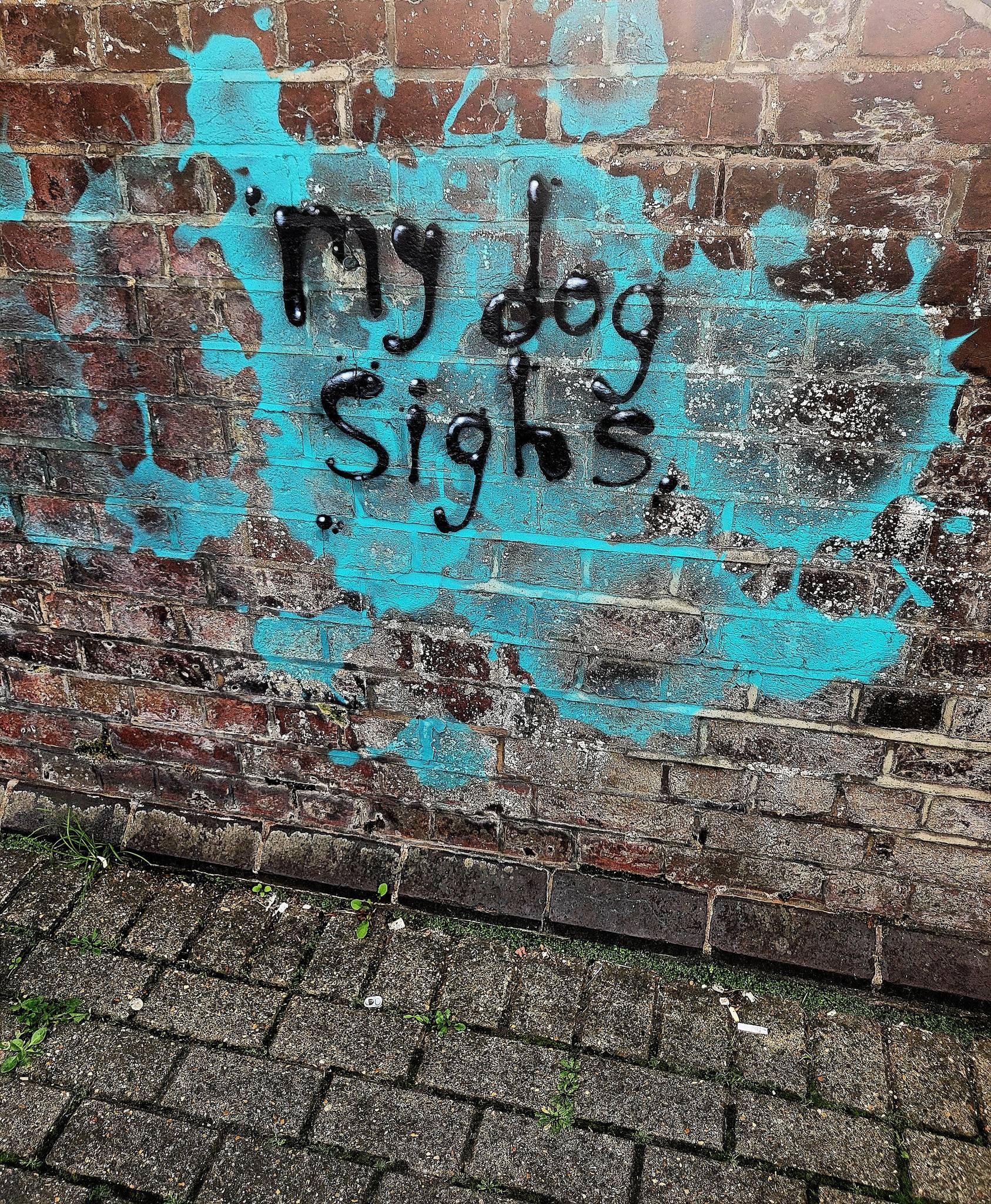 My Dog Sighs, Strang3Art, Getting Up to Stuff &mdash;Unknown - LookUp Portsmouth 2024 