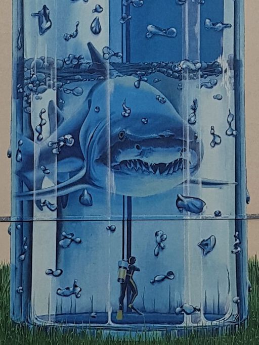 Sharkglass