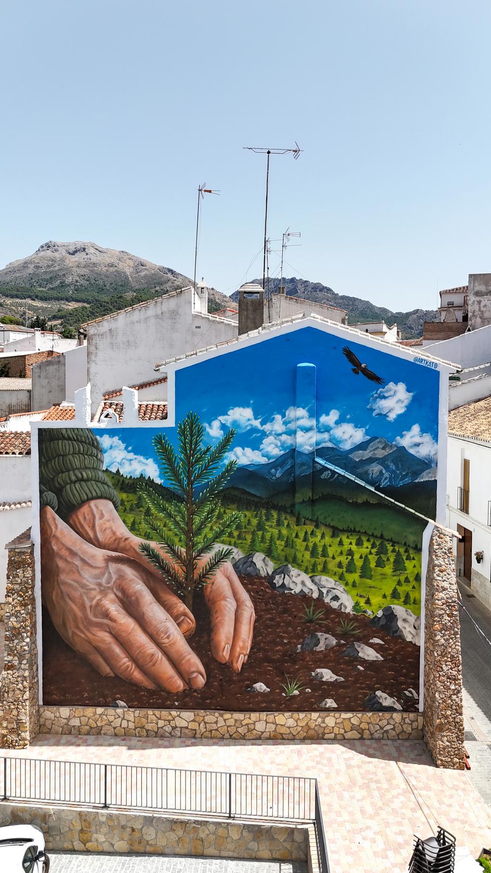 Kato—Un pinsapo para mañana