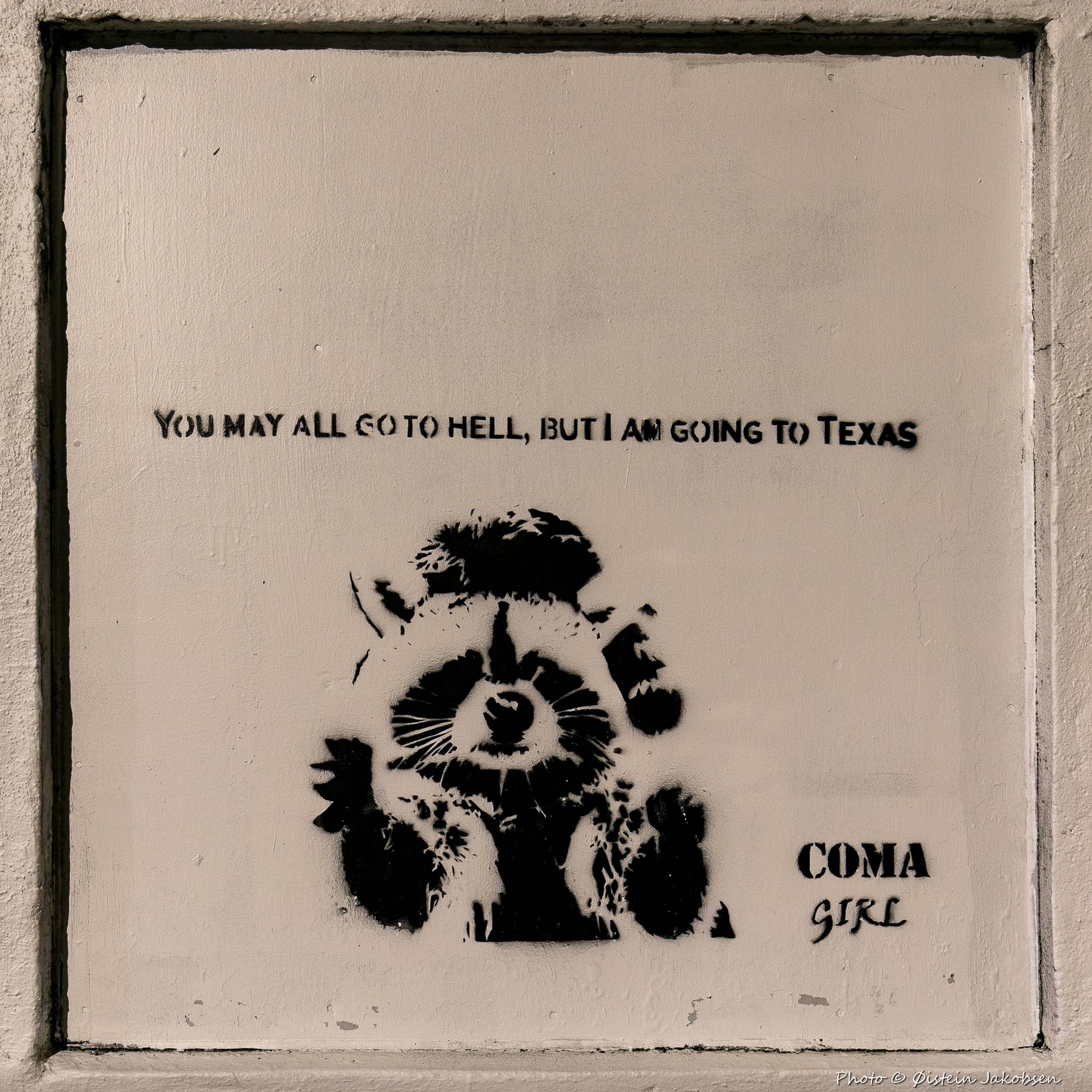 Coma Girl&mdash;Raccoon to Texas