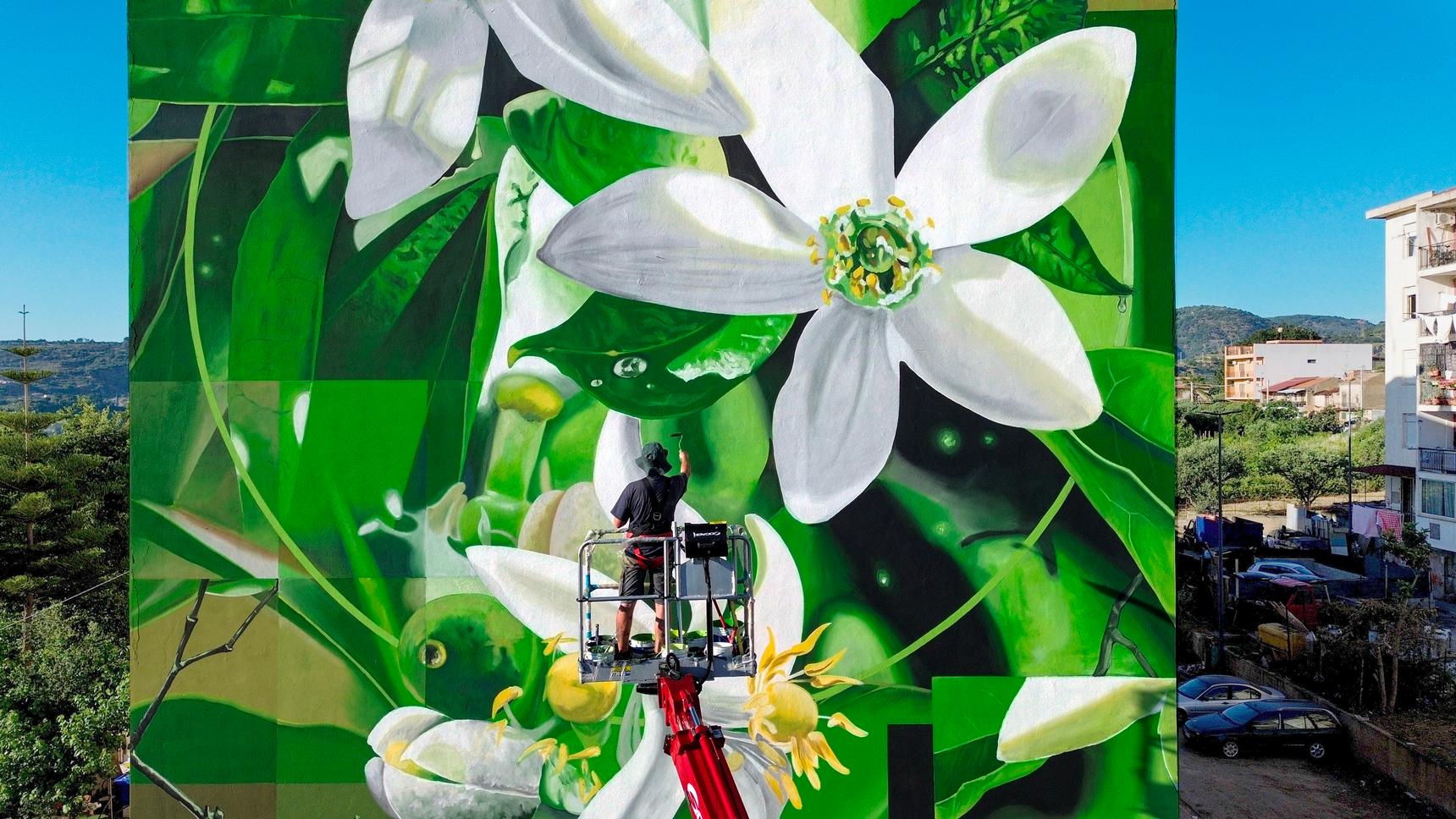 Fabio Petani—LINALYL ACETATE & CITRUS BERGAMIA