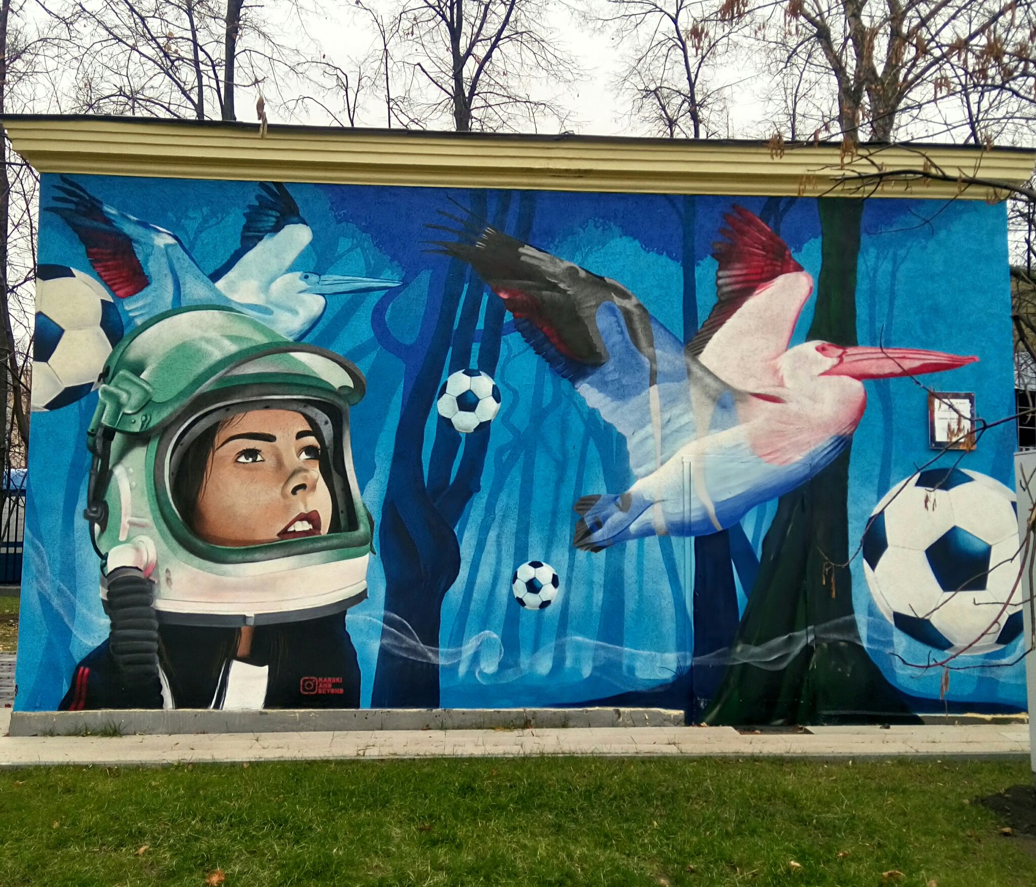 Karski, Beyond&mdash;Space Football (Football Continents)